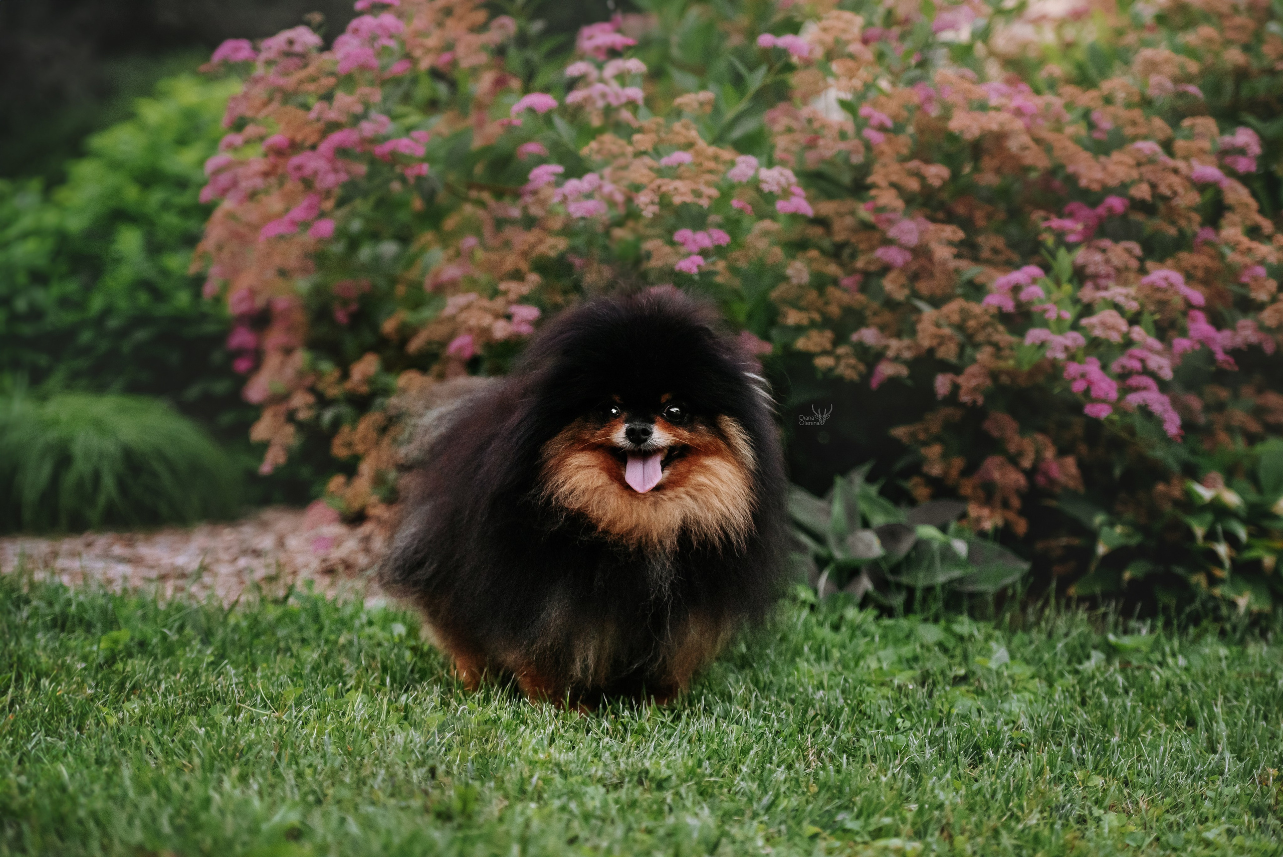 С выставок. Фотограф Диана Оленина Красноярск / Братск