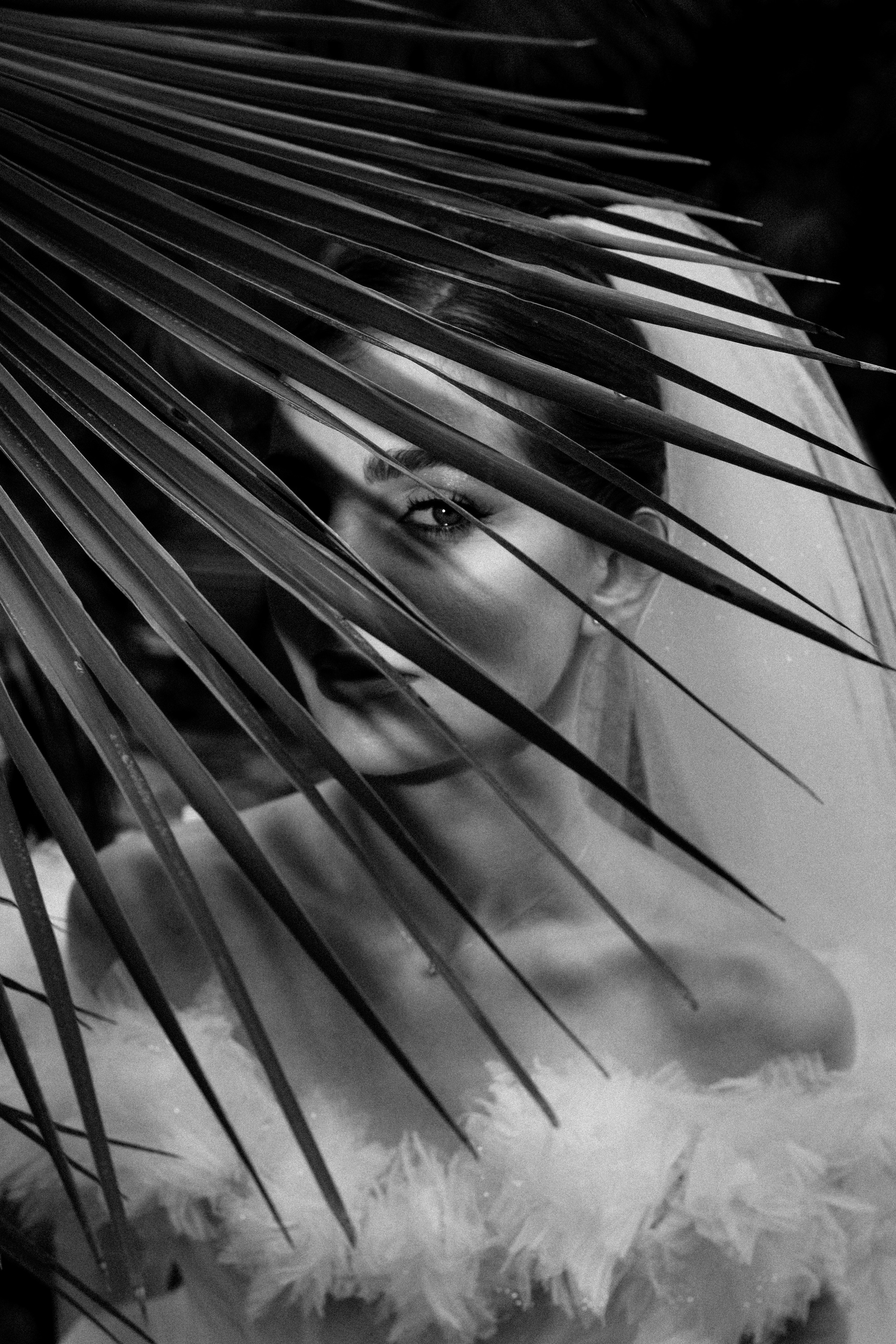 Организуем свадьбу в Абхазии на море или в горах. Свадебный фотограф в Абхазии, Сухум, Гагра, Сочи