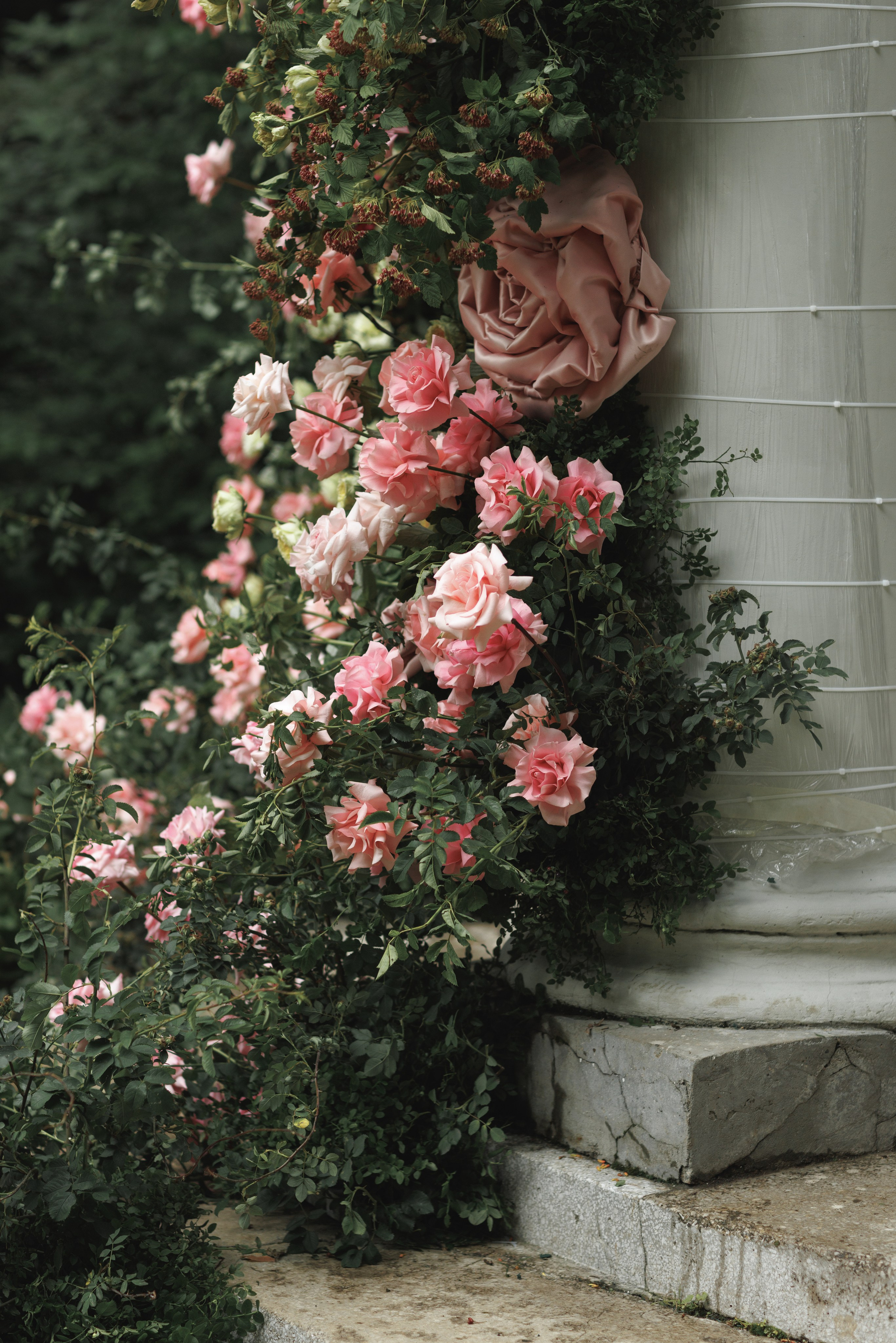 Дмитрий и Диана