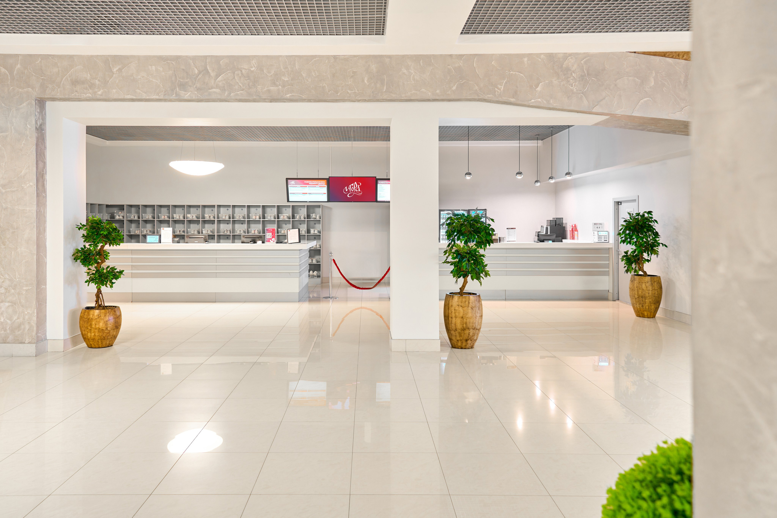 ИГОРА ЛЕДОВЫЙ