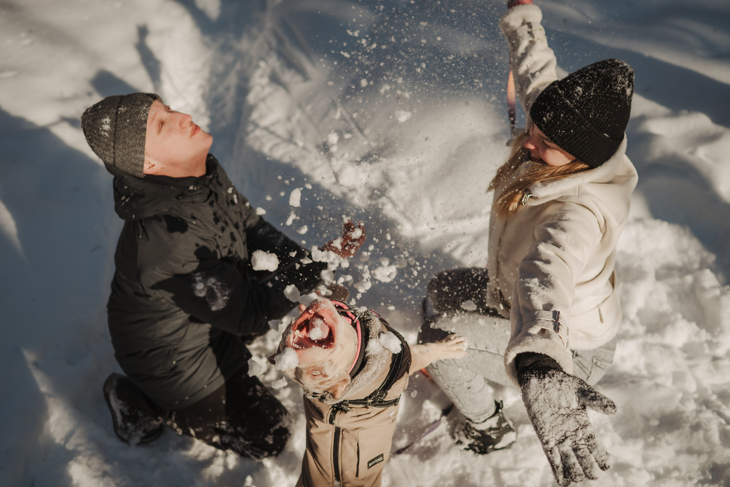 Зимняя LOVE STORY Вики, Артёма и Булочки. Семейный Фотограф в Москве Ирина Хохлова