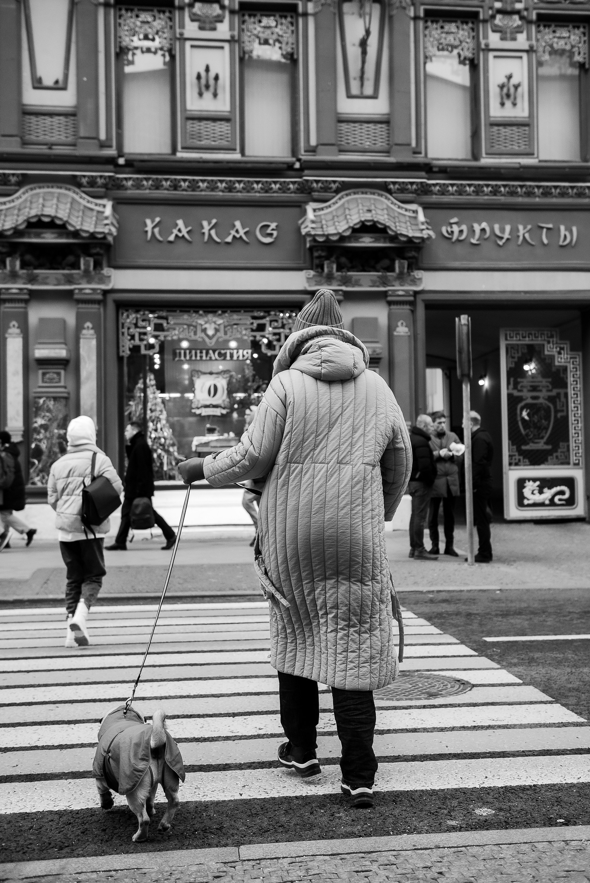 Ольга и Потапум. Прогулка к чайному дому. Семейный Фотограф в Москве Ирина Хохлова