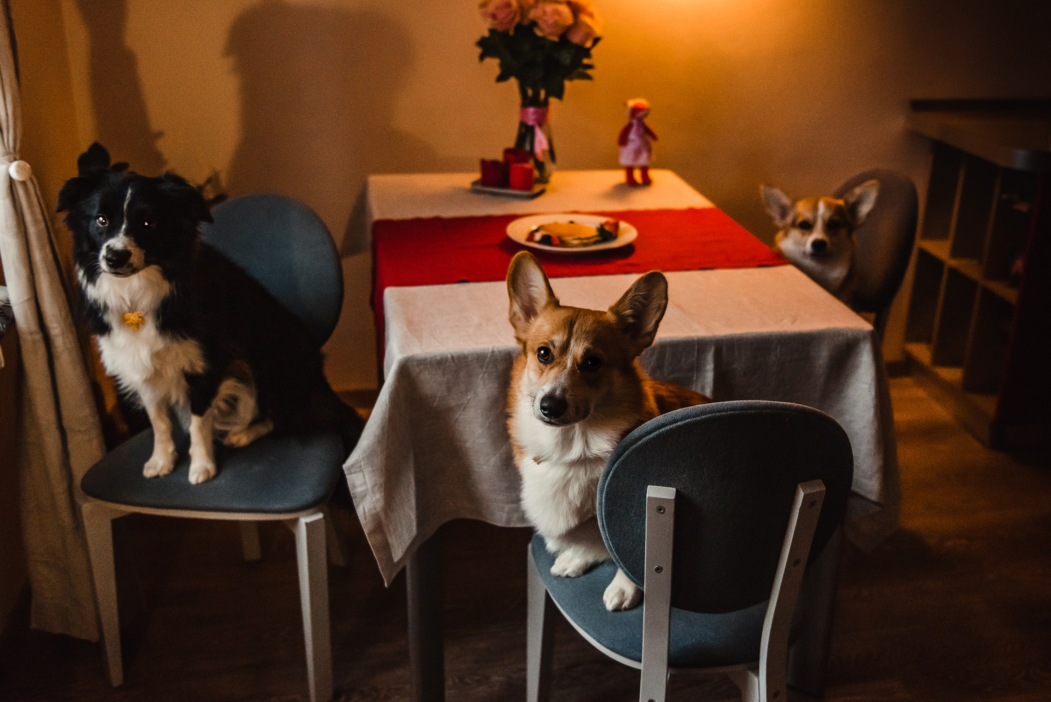 Пижамная вечеринка Тани и Димы. Семейный Фотограф в Москве Ирина Хохлова