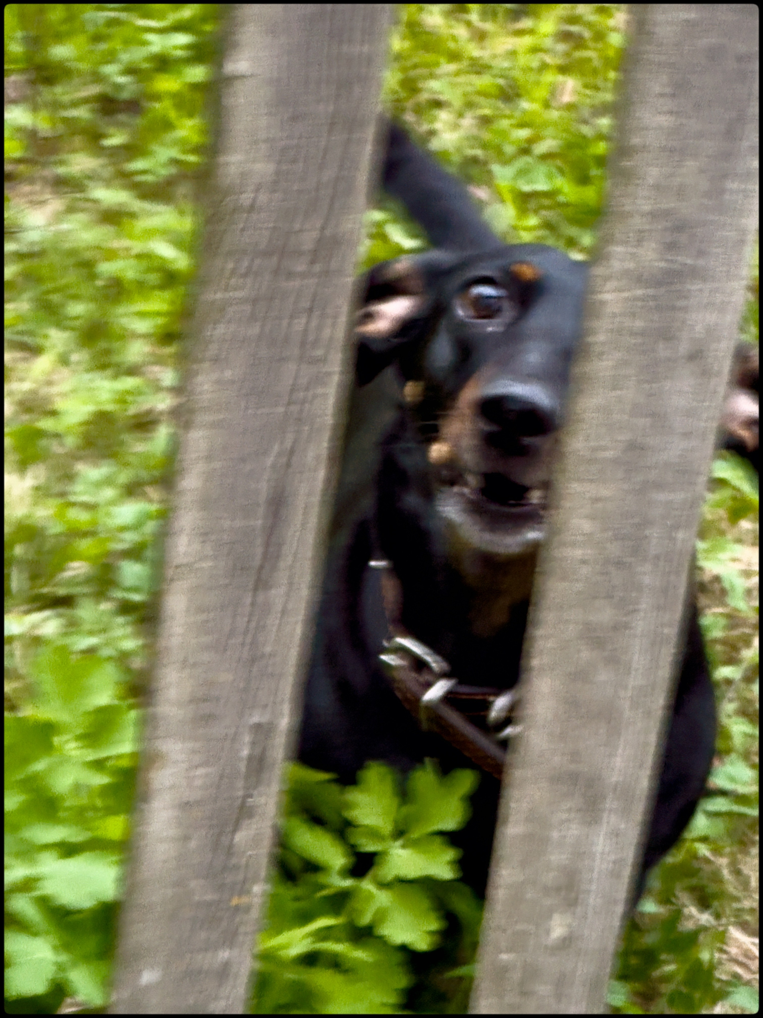 СПБ СТРИТ ______/ \__. СПБНЛО