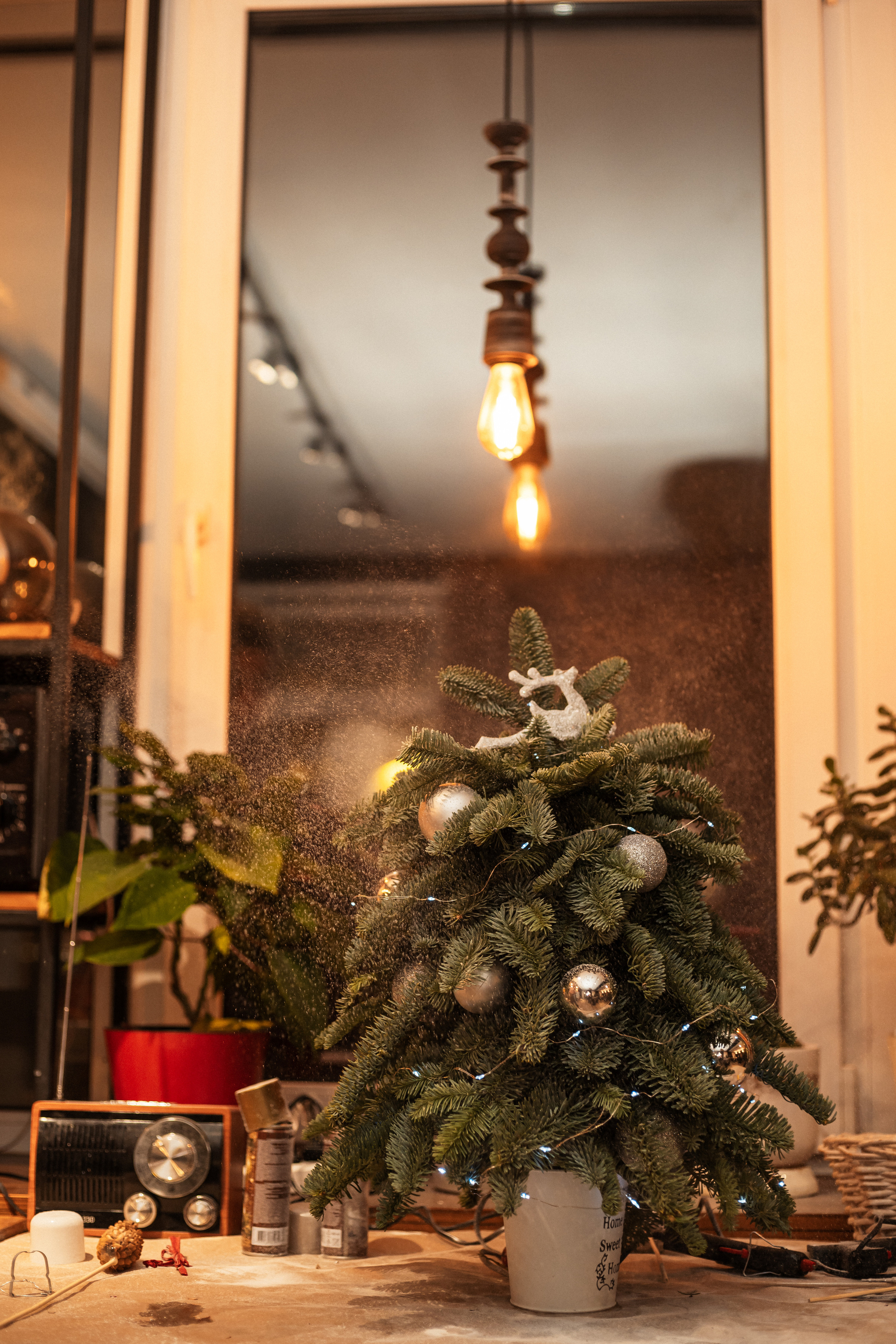 МК Ёлки (LETO). Фотограф Алина Филимонова Тверь