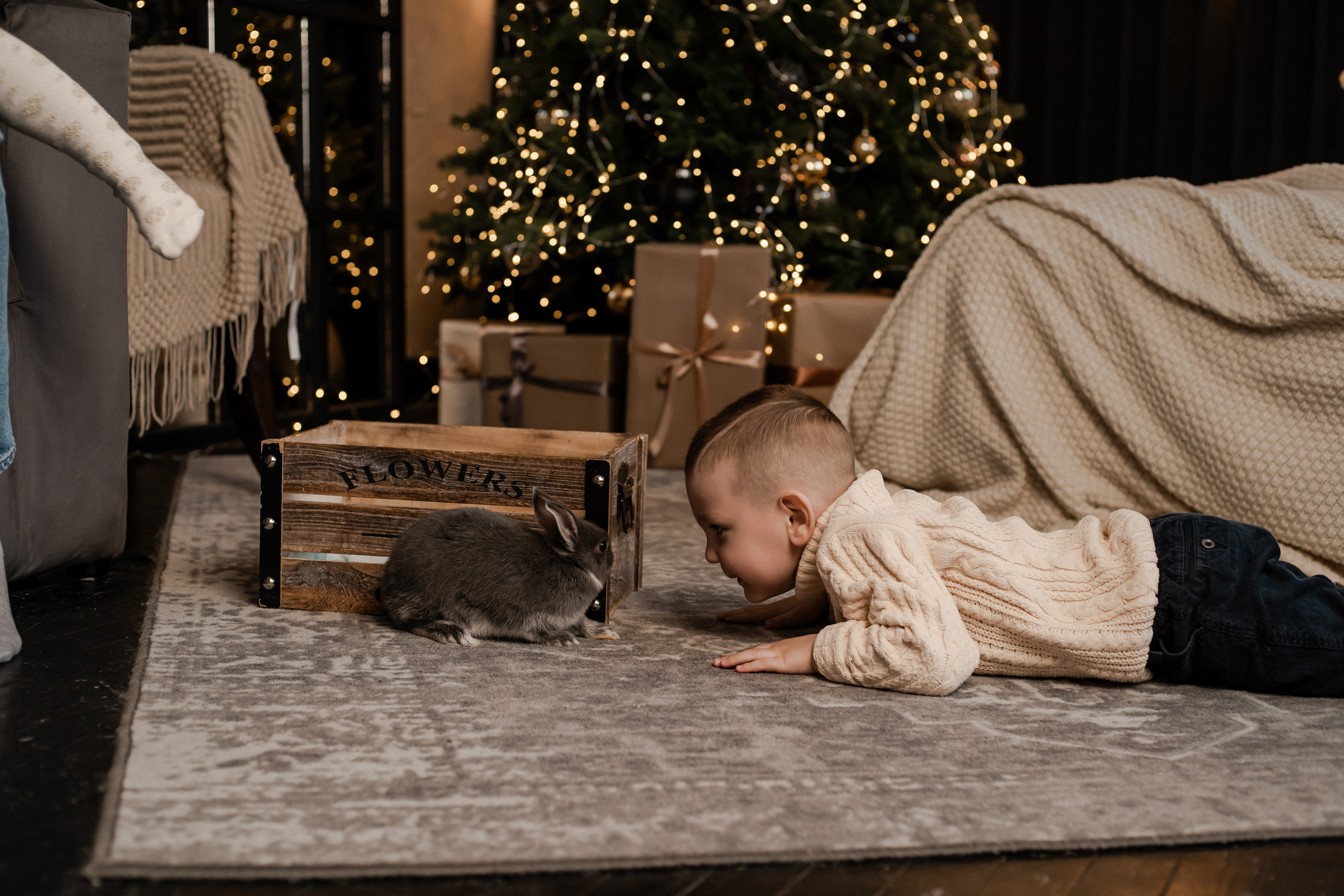 Новый год с крольчатами. Фотограф Алина Филимонова Тверь