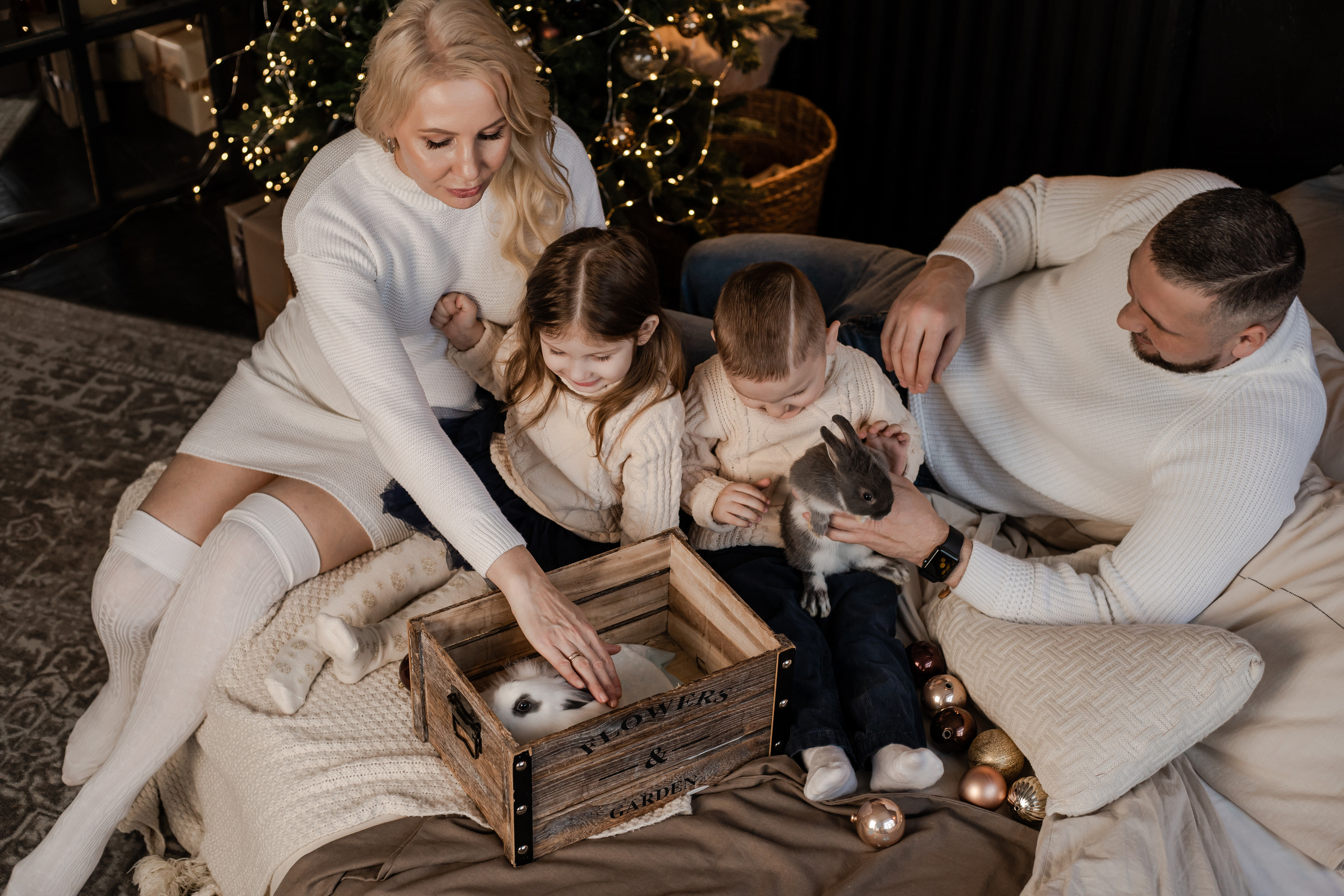 Новый год с крольчатами. Фотограф Алина Филимонова Тверь