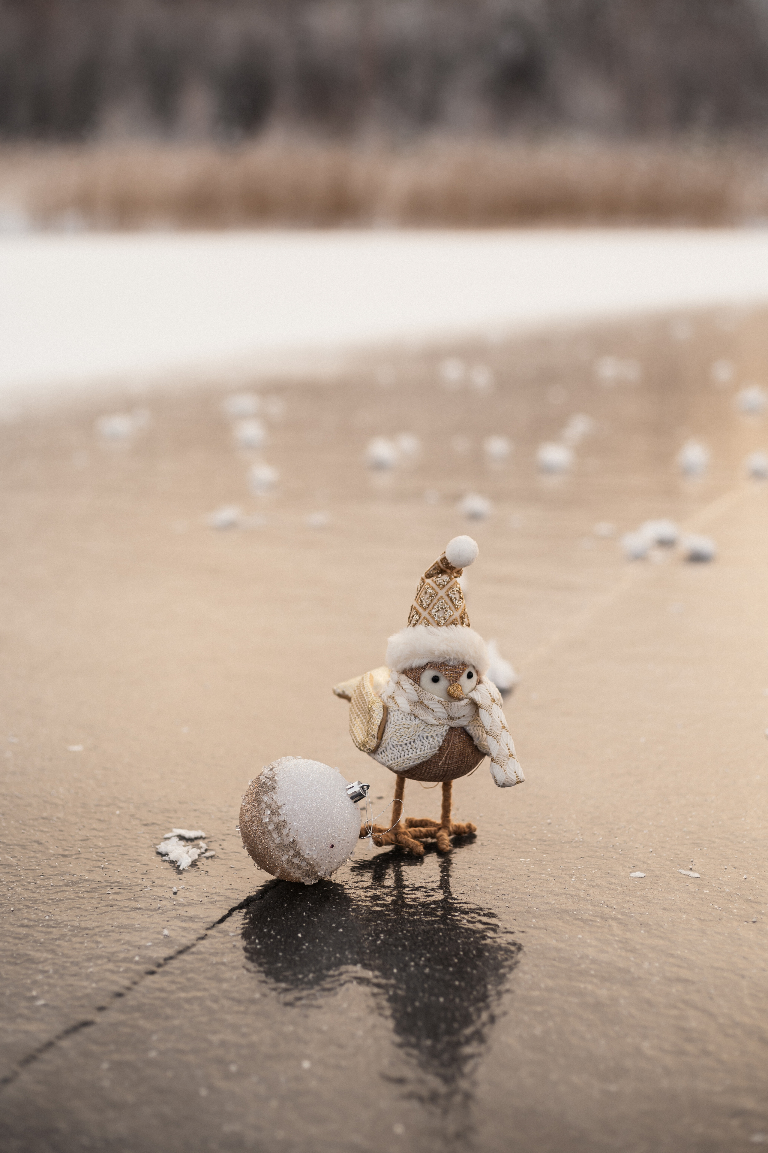 Зимние карьеры. Фотограф Алина Филимонова Тверь