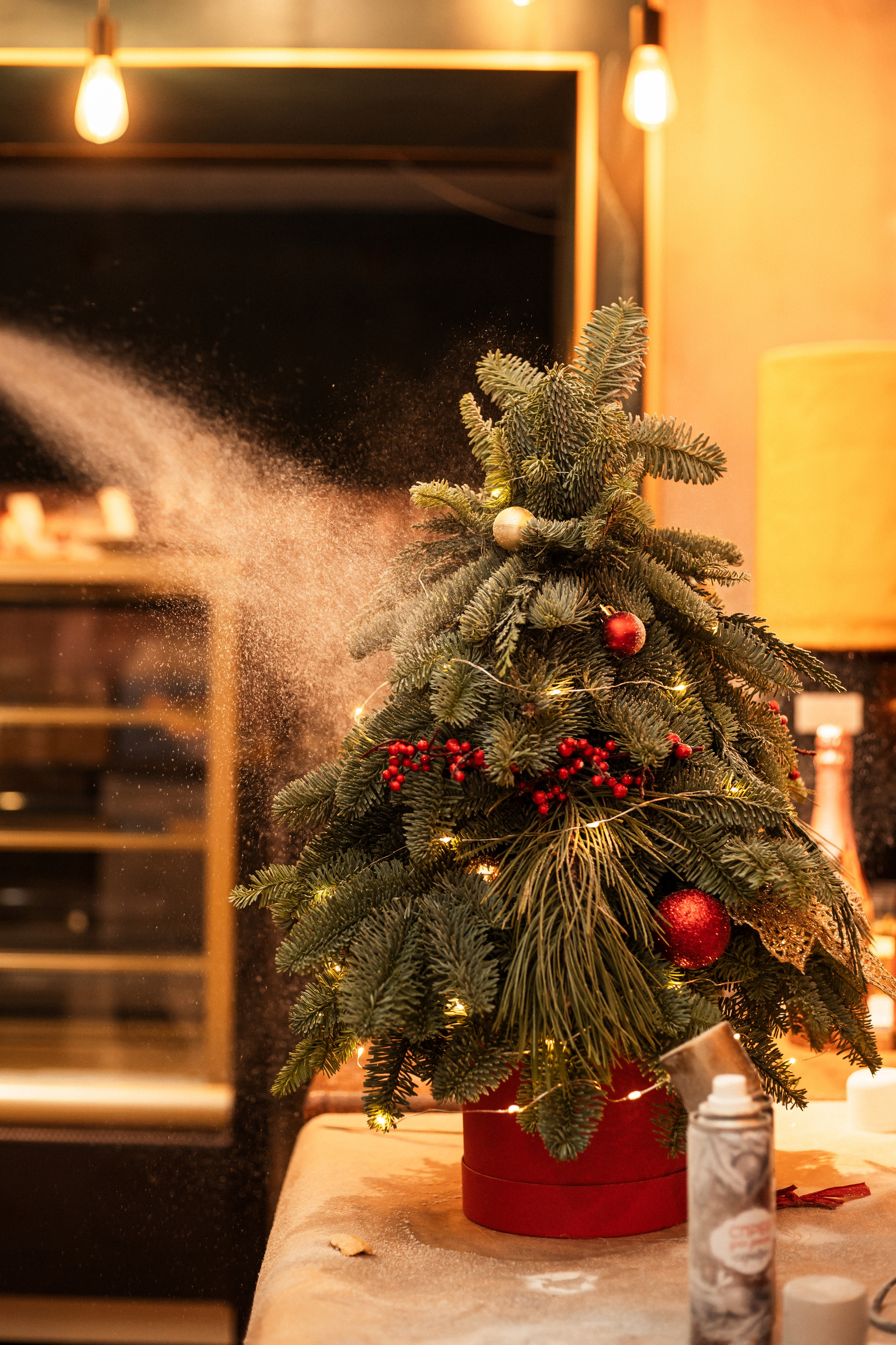 МК Ёлки (LETO). Фотограф Алина Филимонова Тверь