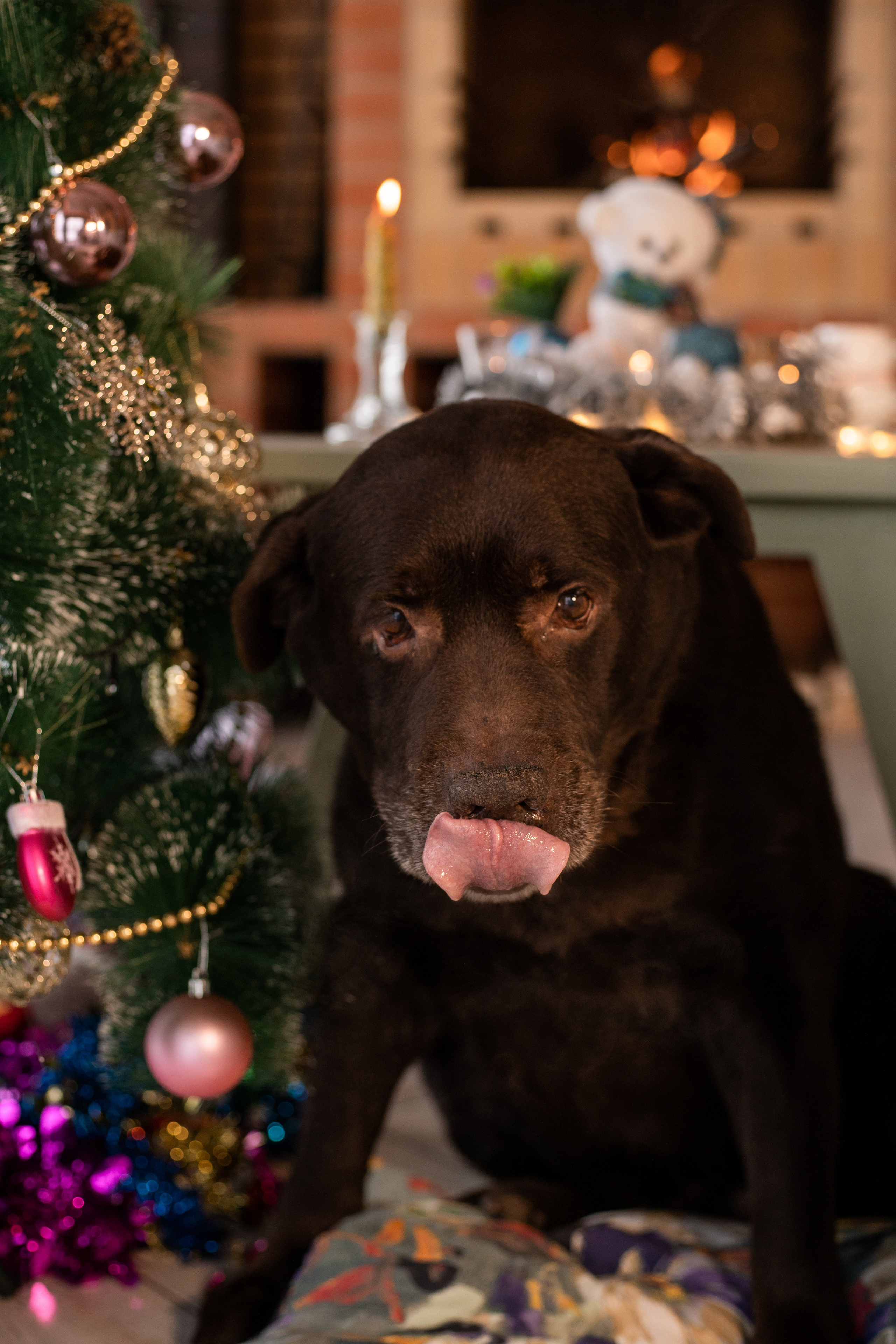 Новогодняя атмосфера. Фотограф Алина Филимонова Тверь
