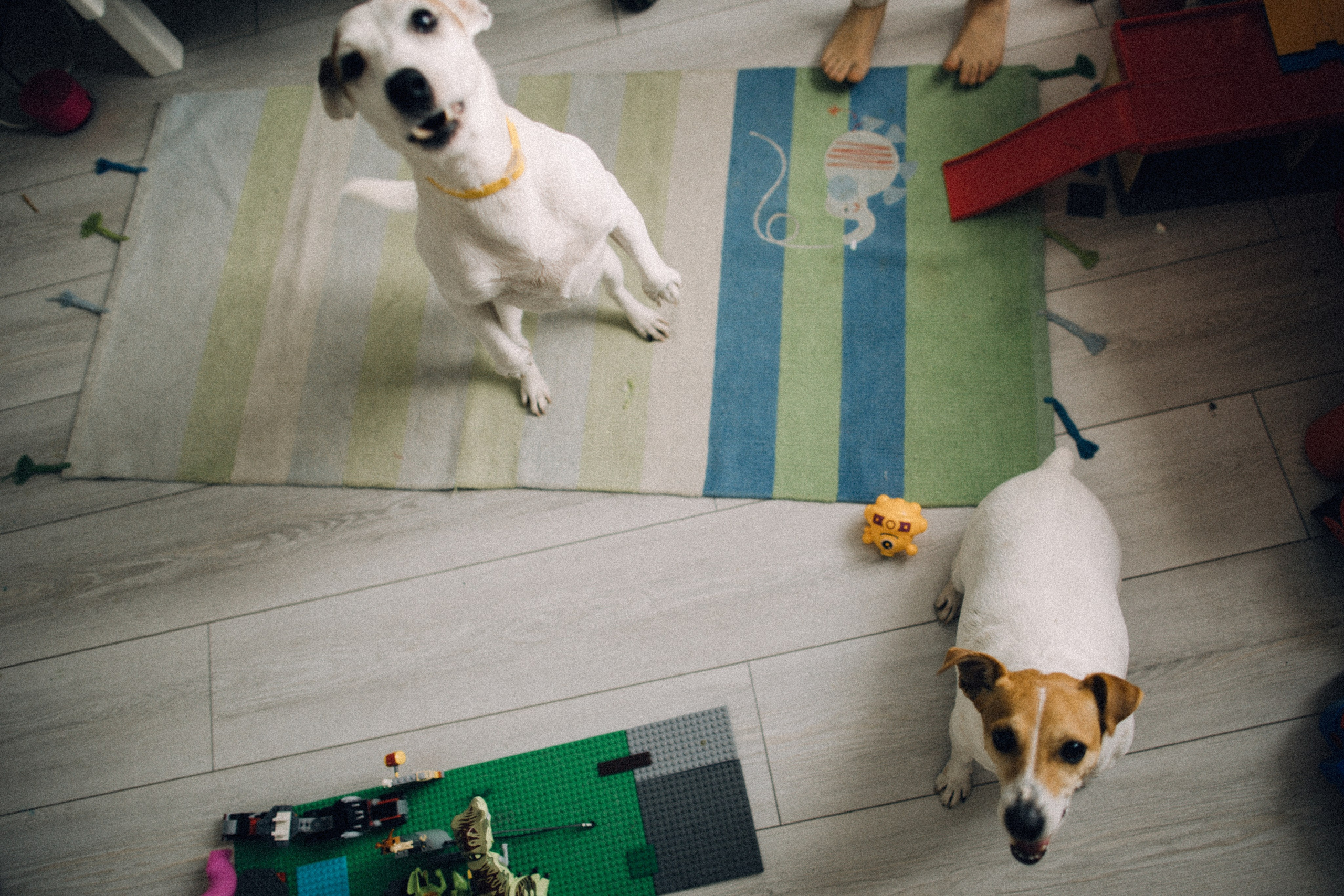 Юля Сергей Лика Артем. Семейный фотограф в Краснодаре Анна Пасик