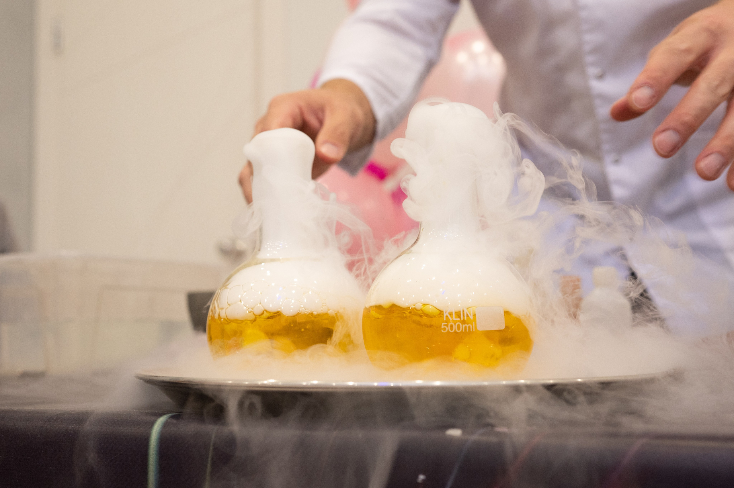 День открытых дверей. Фотограф в Санкт-Петербурге Anna Balashkova