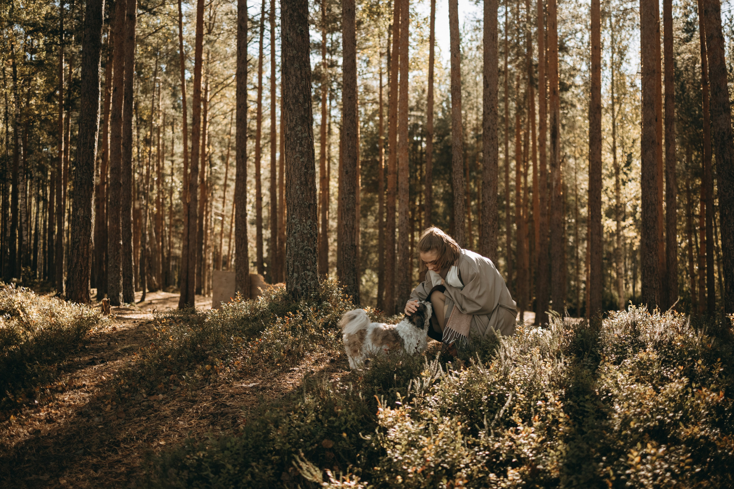 Настя и Франт. Фотограф — Анималист | Санкт-Петербург