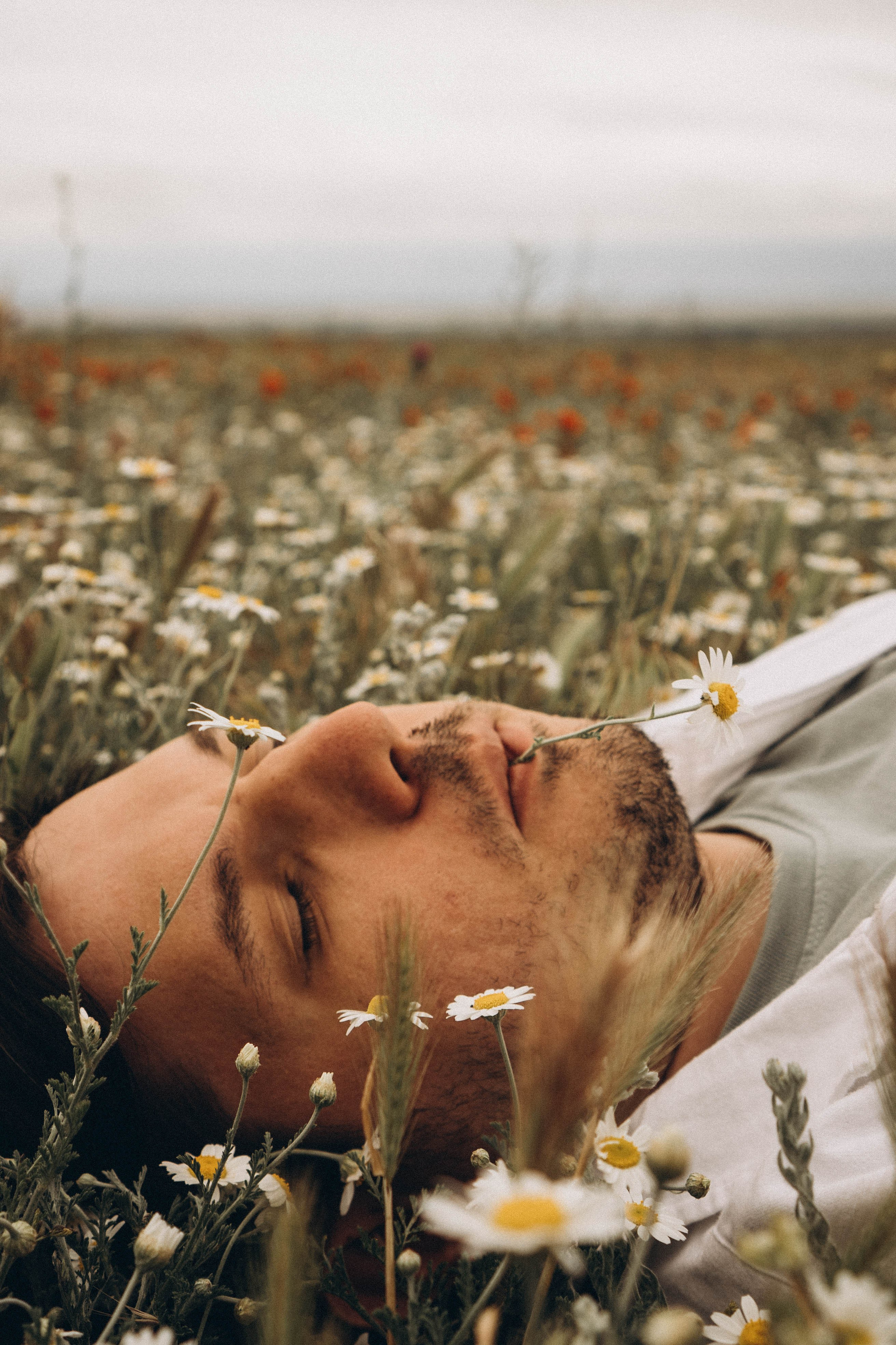 Маки. Профессиональный фотограф, Санкт-Петербург — Виктория Богомолова