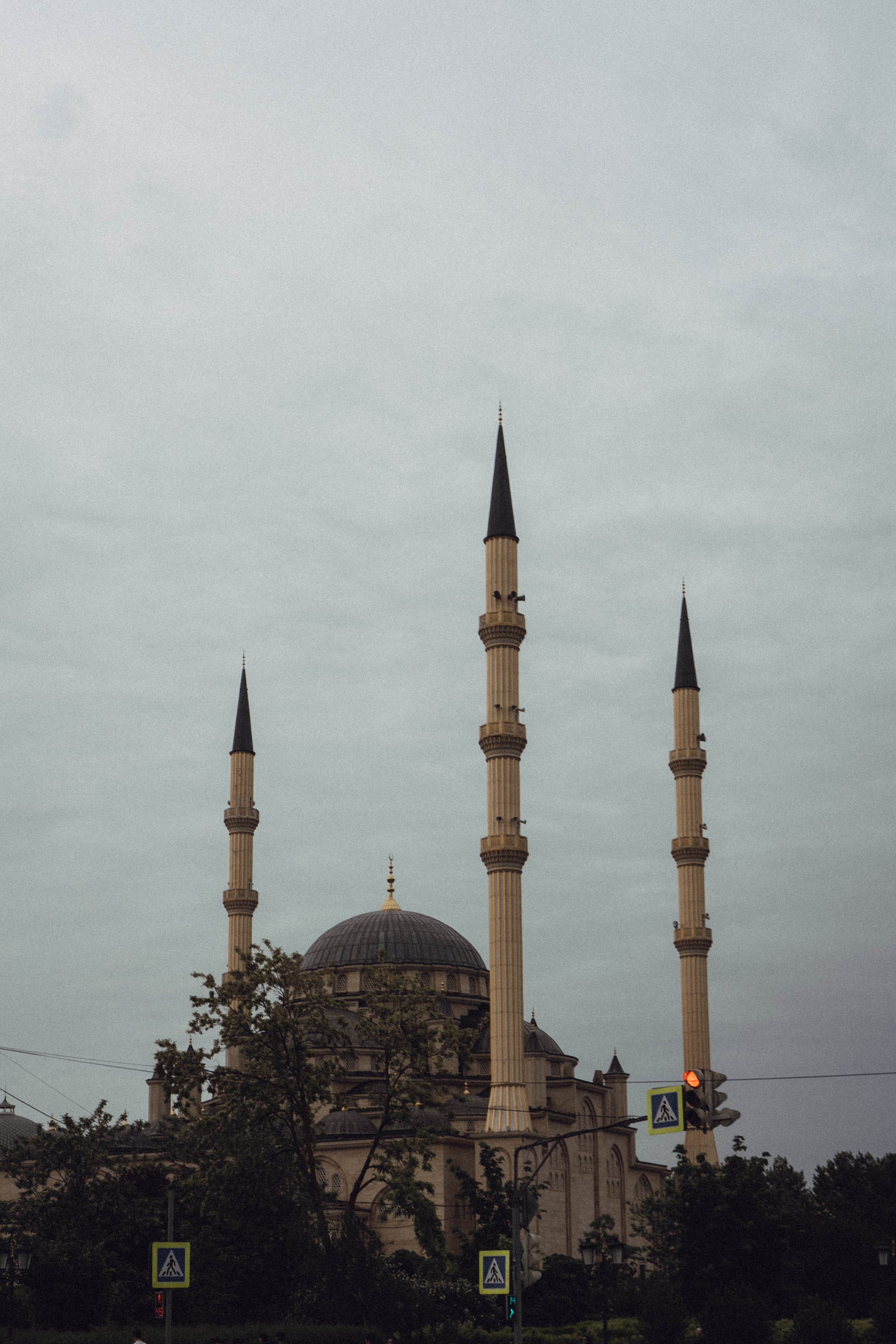 Кавказ. Профессиональный фотограф, Санкт-Петербург — Виктория Богомолова