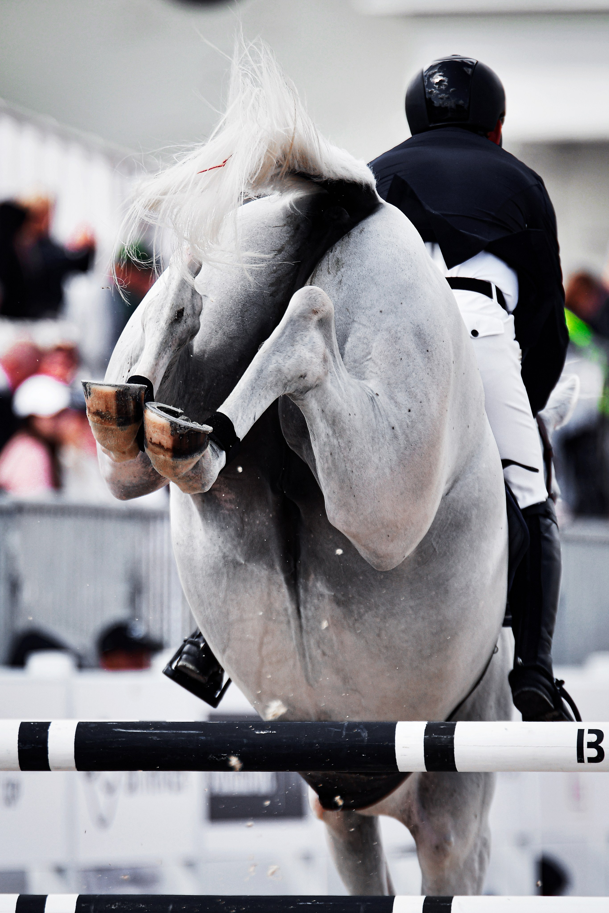 Репортаж Bitriver. Конный фотограф Alesya Safe