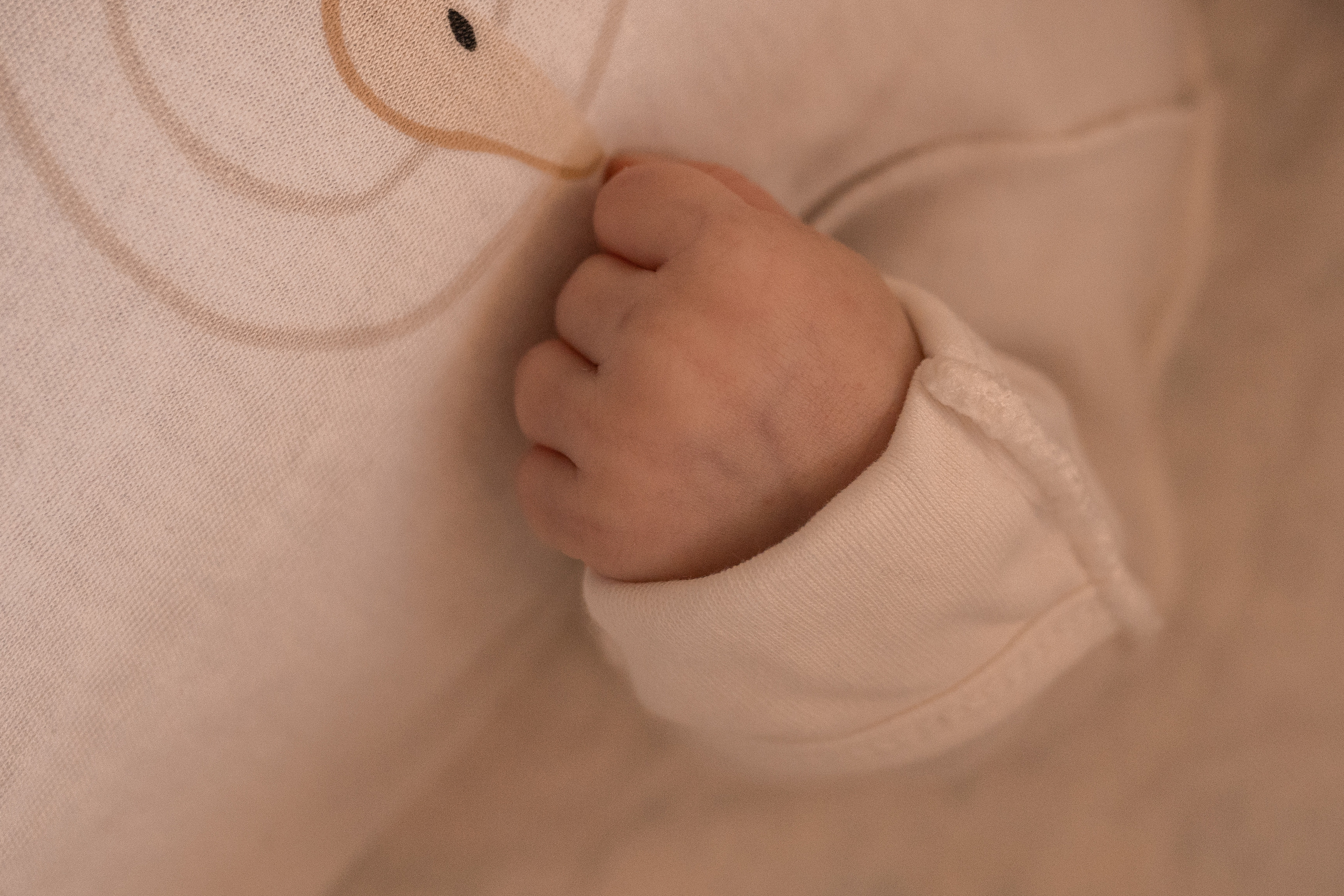 Семейная фотосессия в Москве, семейный фотограф Анна Полушина. Свадебный фотограф в Москве Анна Полушина