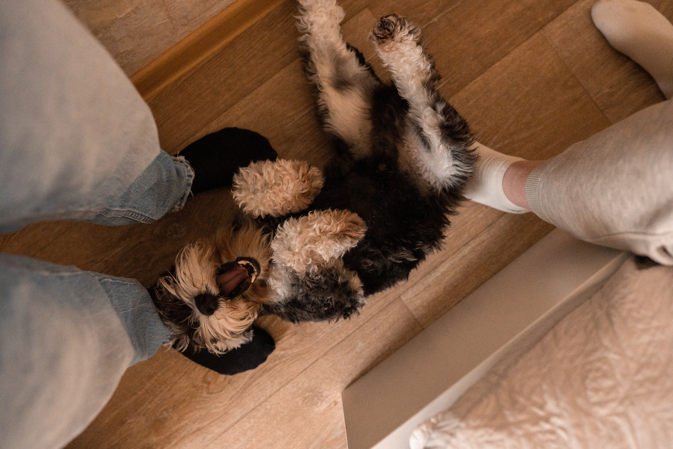 Семейная фотосессия в Москве, семейный фотограф Анна Полушина. Свадебный фотограф в Москве Анна Полушина