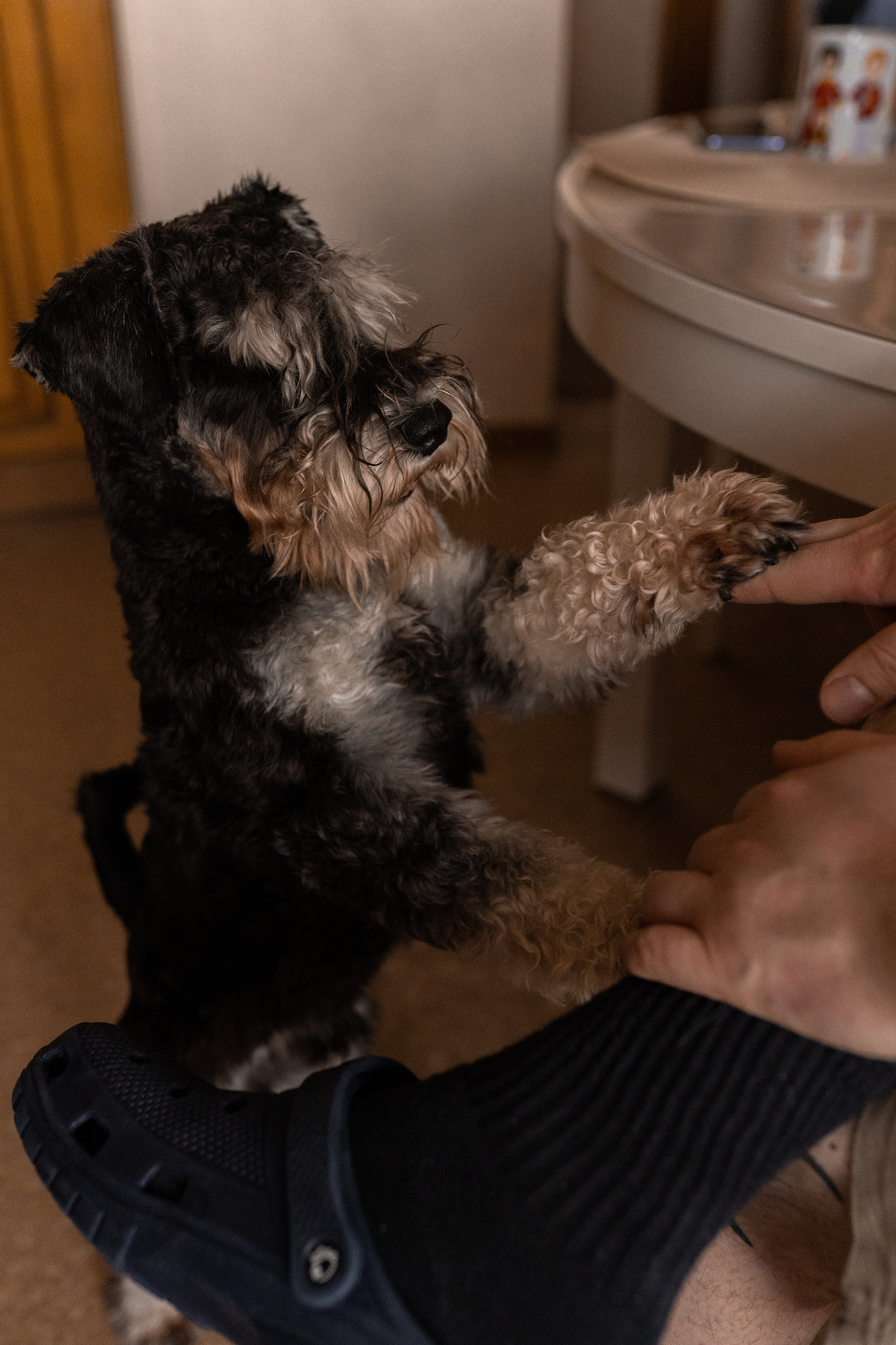 Семейная фотосессия в Москве, семейный фотограф Анна Полушина. Свадебный фотограф в Москве Анна Полушина