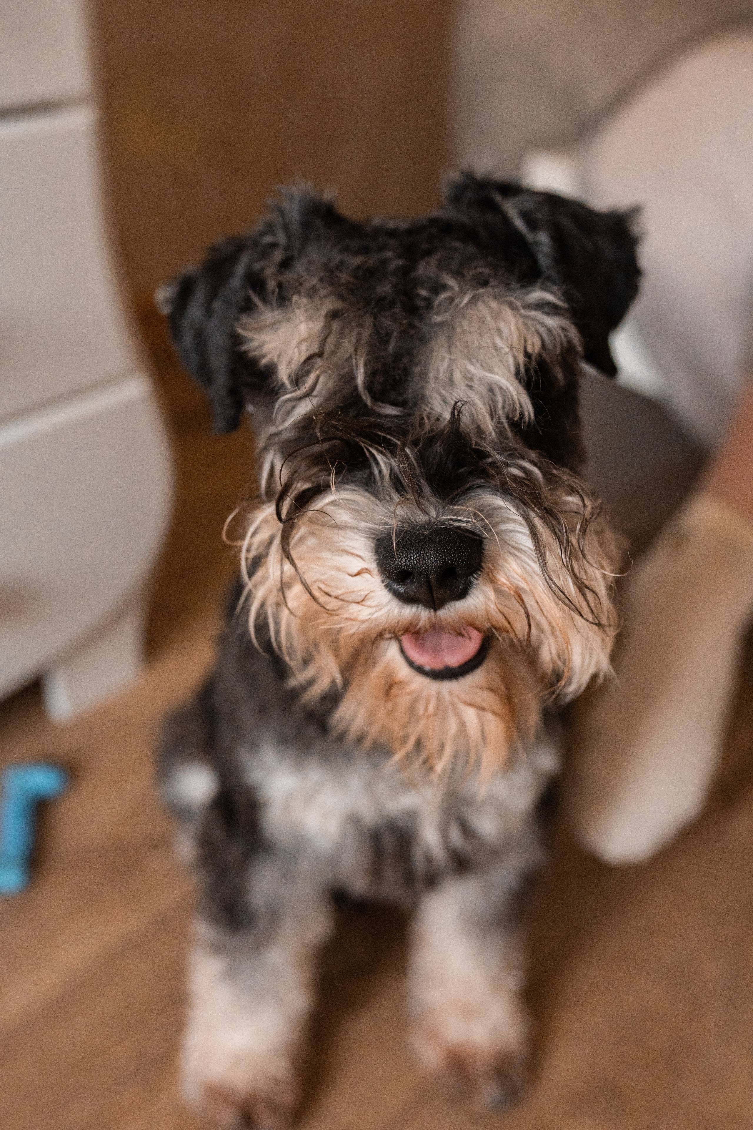Семейная фотосессия в Москве, семейный фотограф Анна Полушина. Свадебный фотограф в Москве Анна Полушина