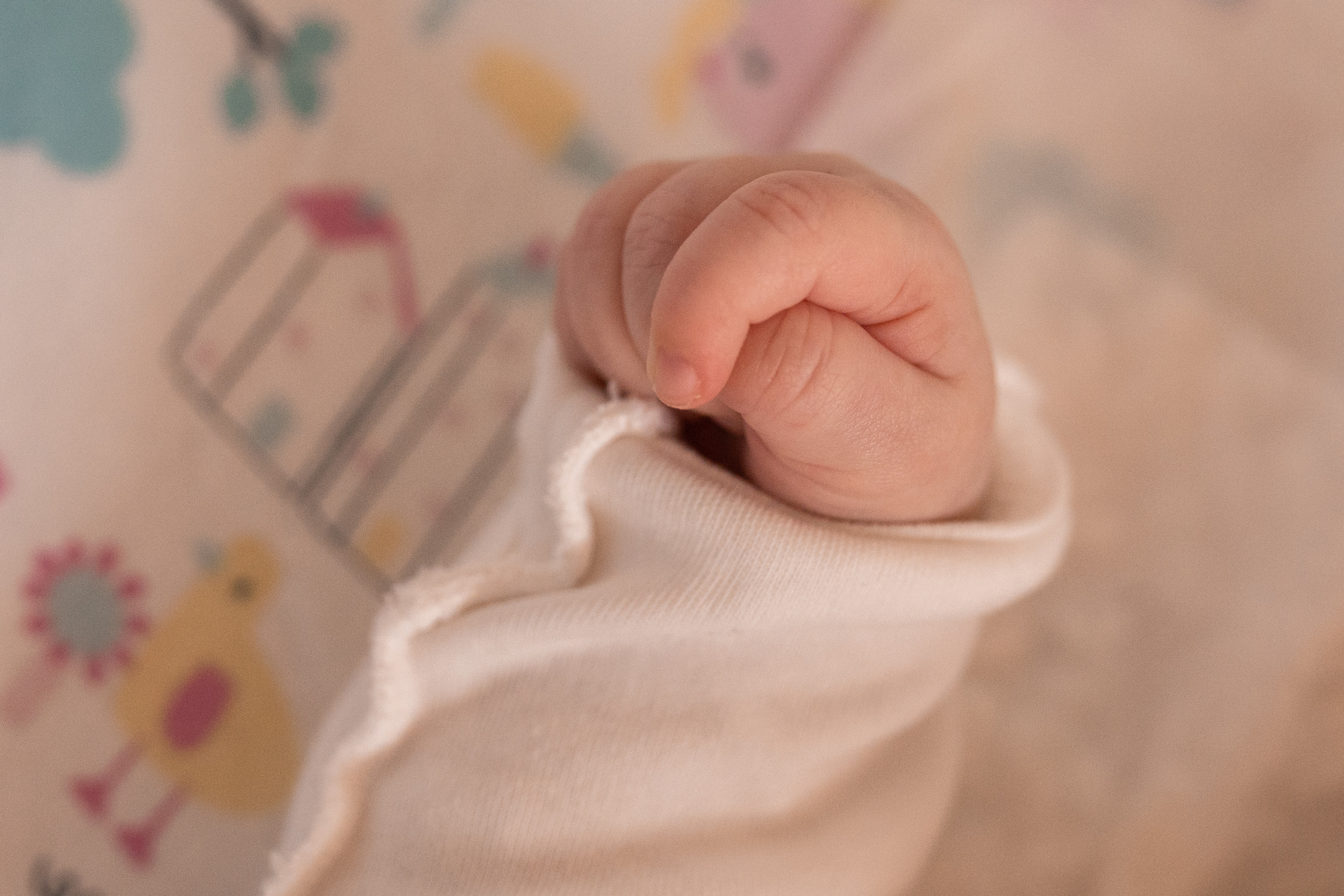 Семейная фотосессия в Москве, семейный фотограф Анна Полушина. Свадебный фотограф в Москве Анна Полушина