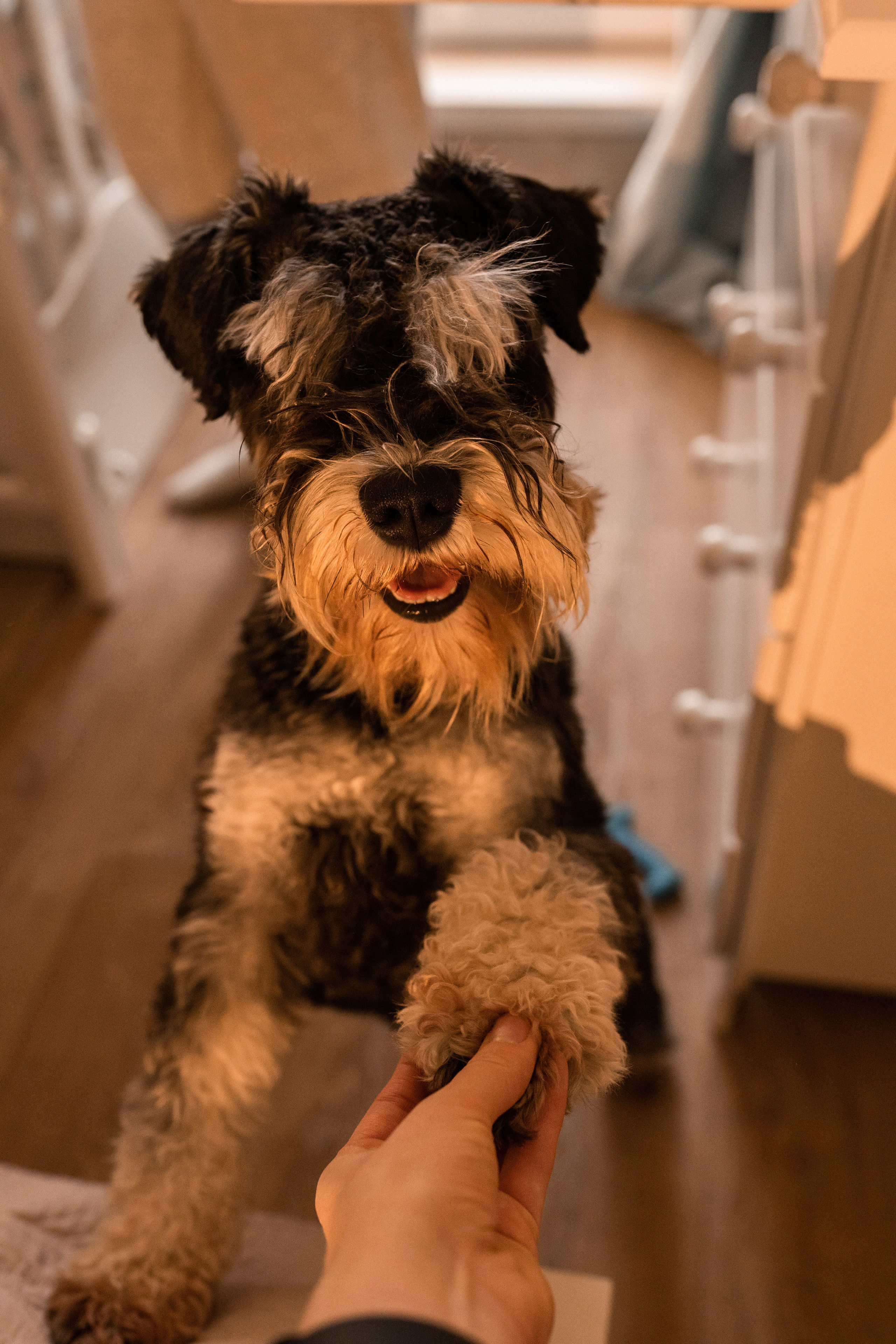 Семейная фотосессия в Москве, семейный фотограф Анна Полушина. Свадебный фотограф в Москве Анна Полушина