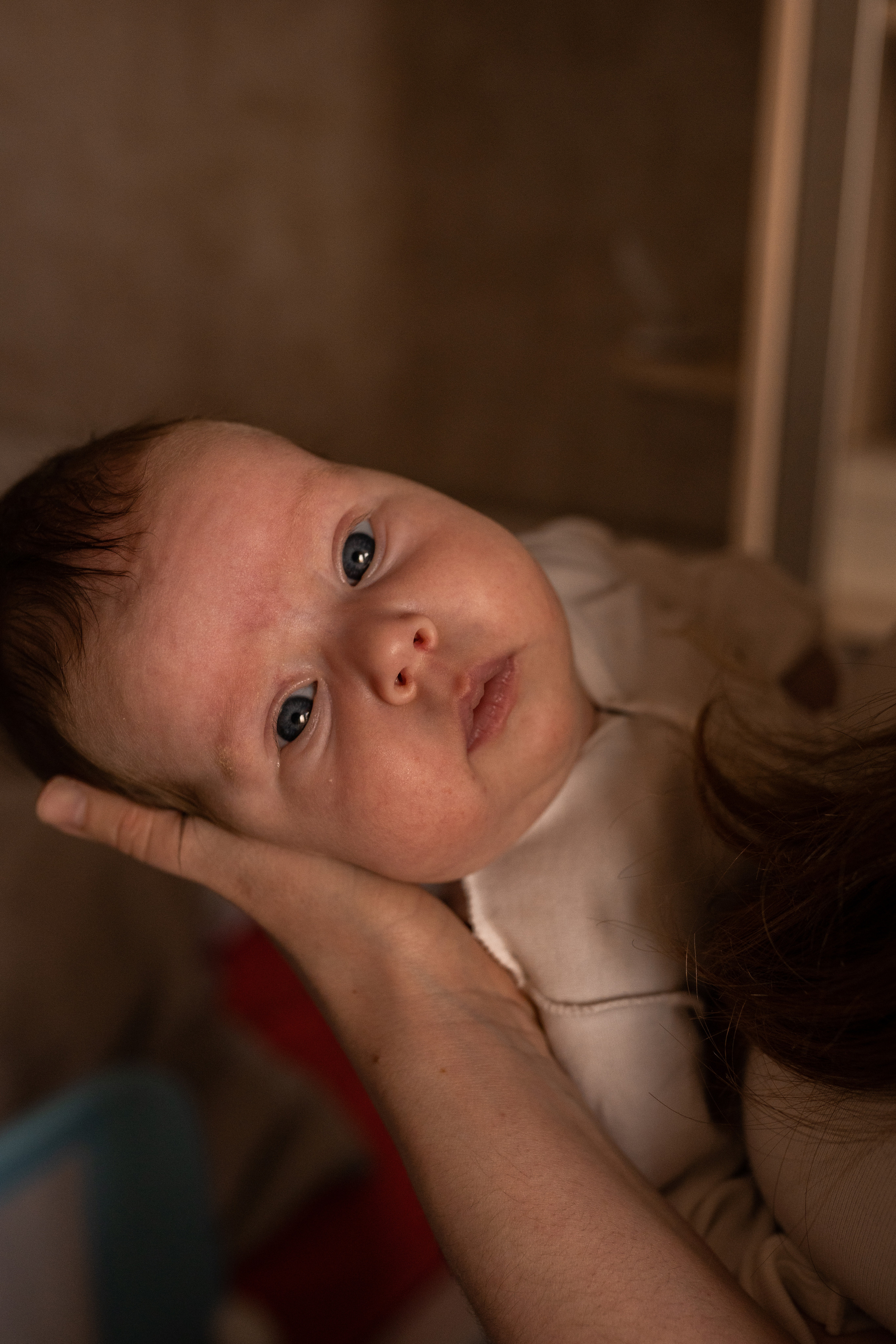 Семейная фотосессия в Москве, семейный фотограф Анна Полушина. Свадебный фотограф в Москве Анна Полушина