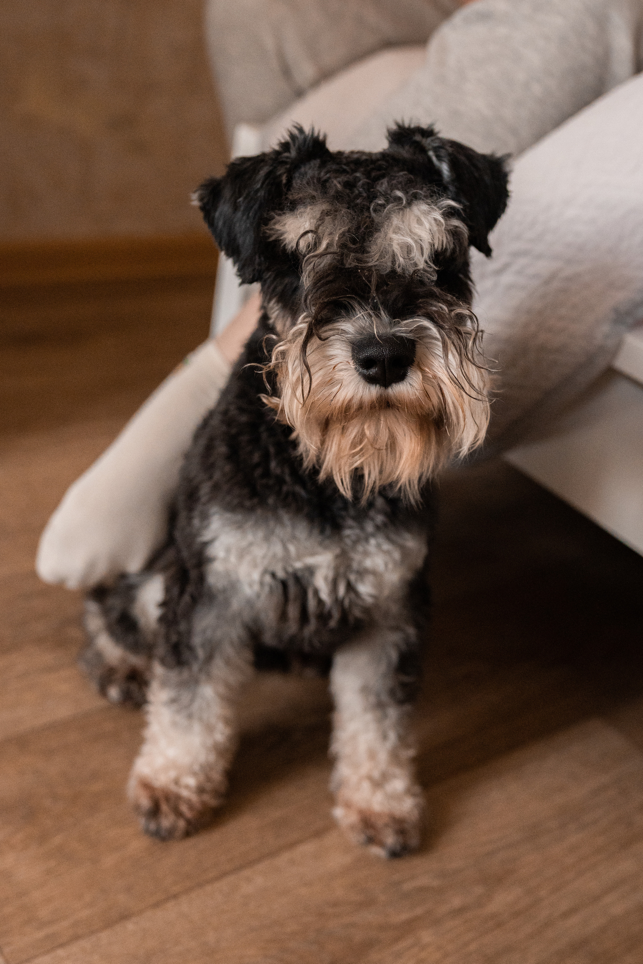 Семейная фотосессия в Москве, семейный фотограф Анна Полушина. Свадебный фотограф в Москве Анна Полушина