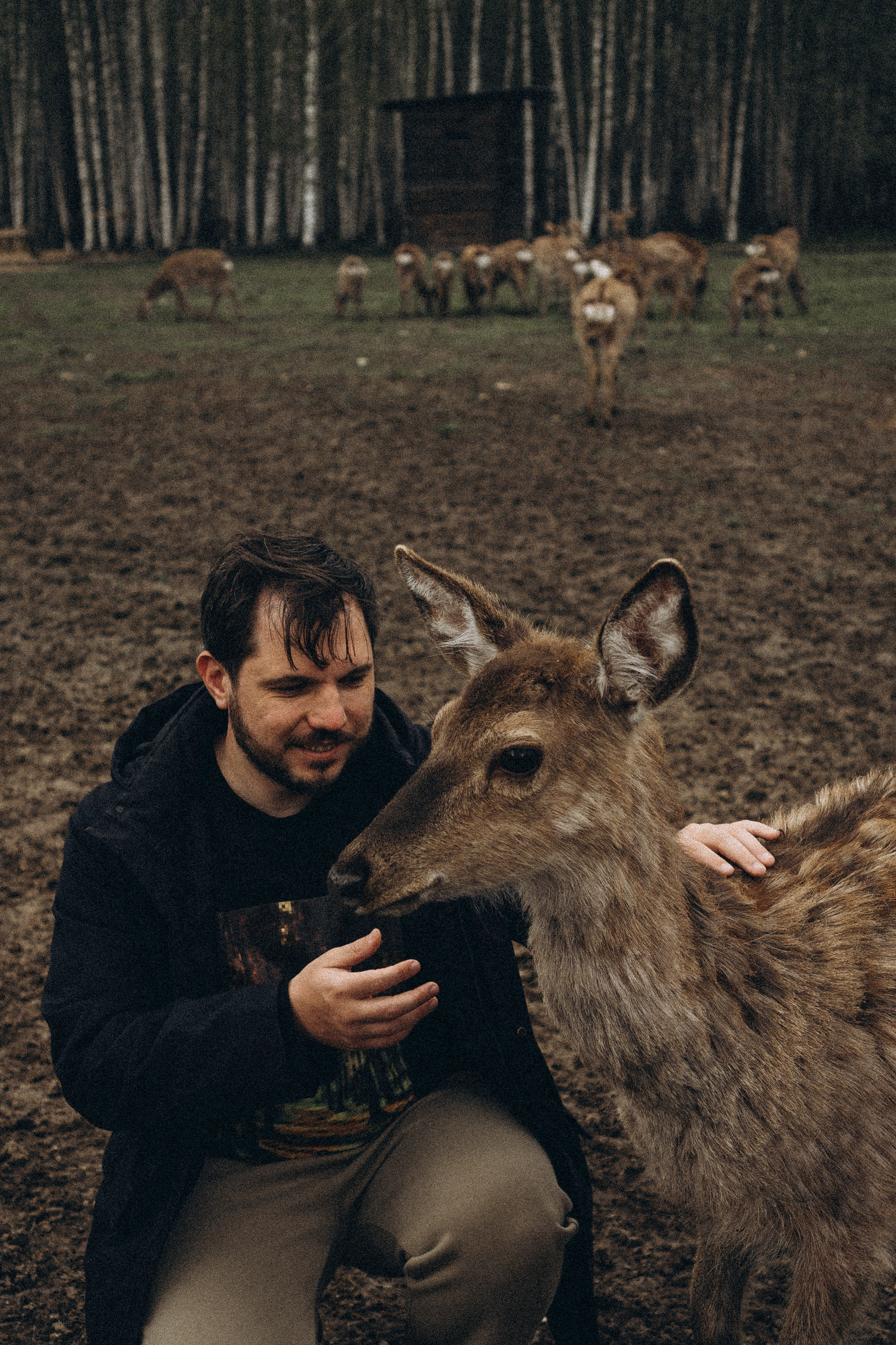 ОЛЕНЬЯ ФЕРМА В ТВЕРИ. Профессиональный фотограф, Санкт-Петербург — Виктория Богомолова