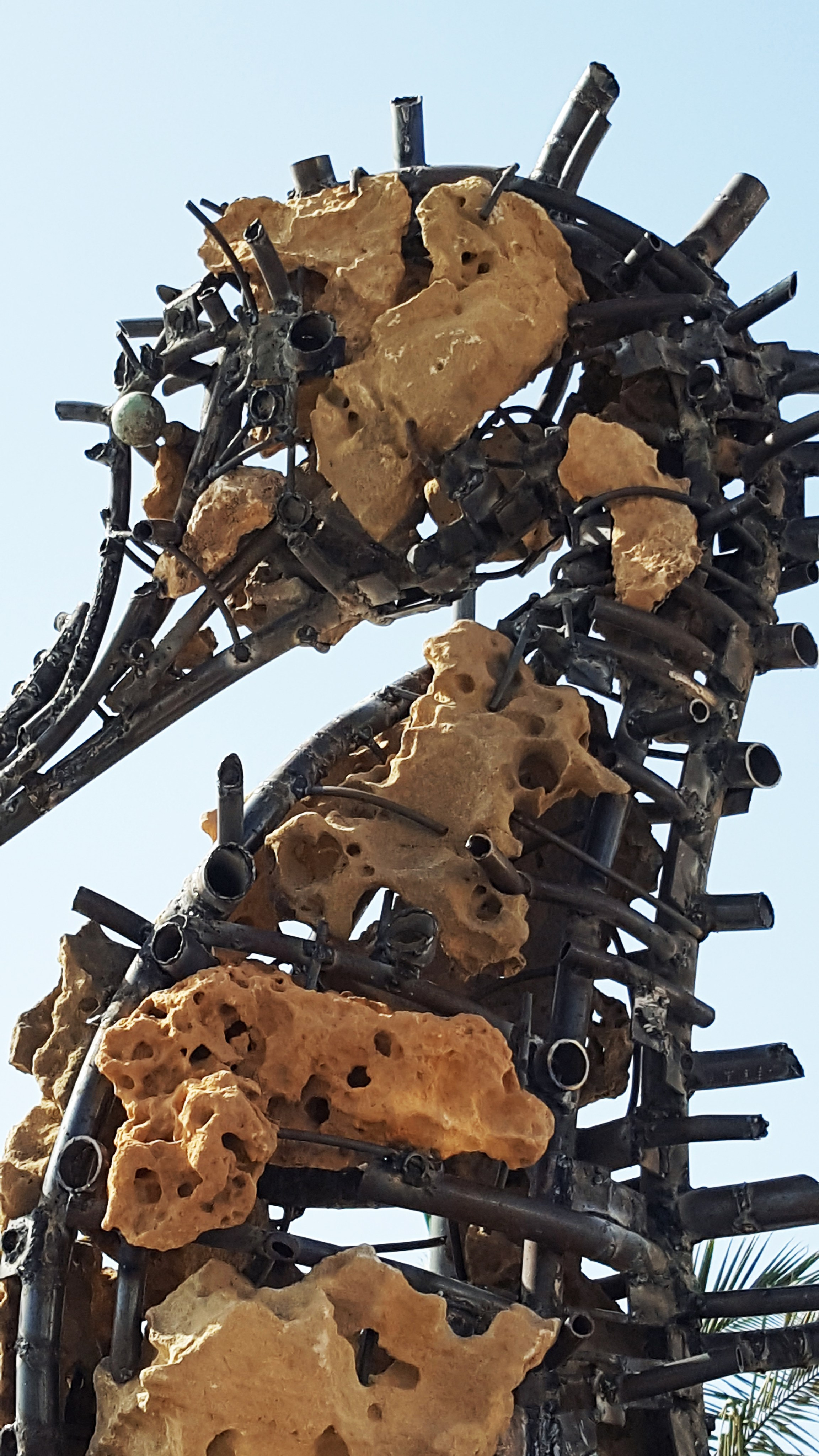 Морской конёк/Испания/Канарские о-ва/ Фуэртевентура/2017. Художник — скульптор Антонина Фатхуллина