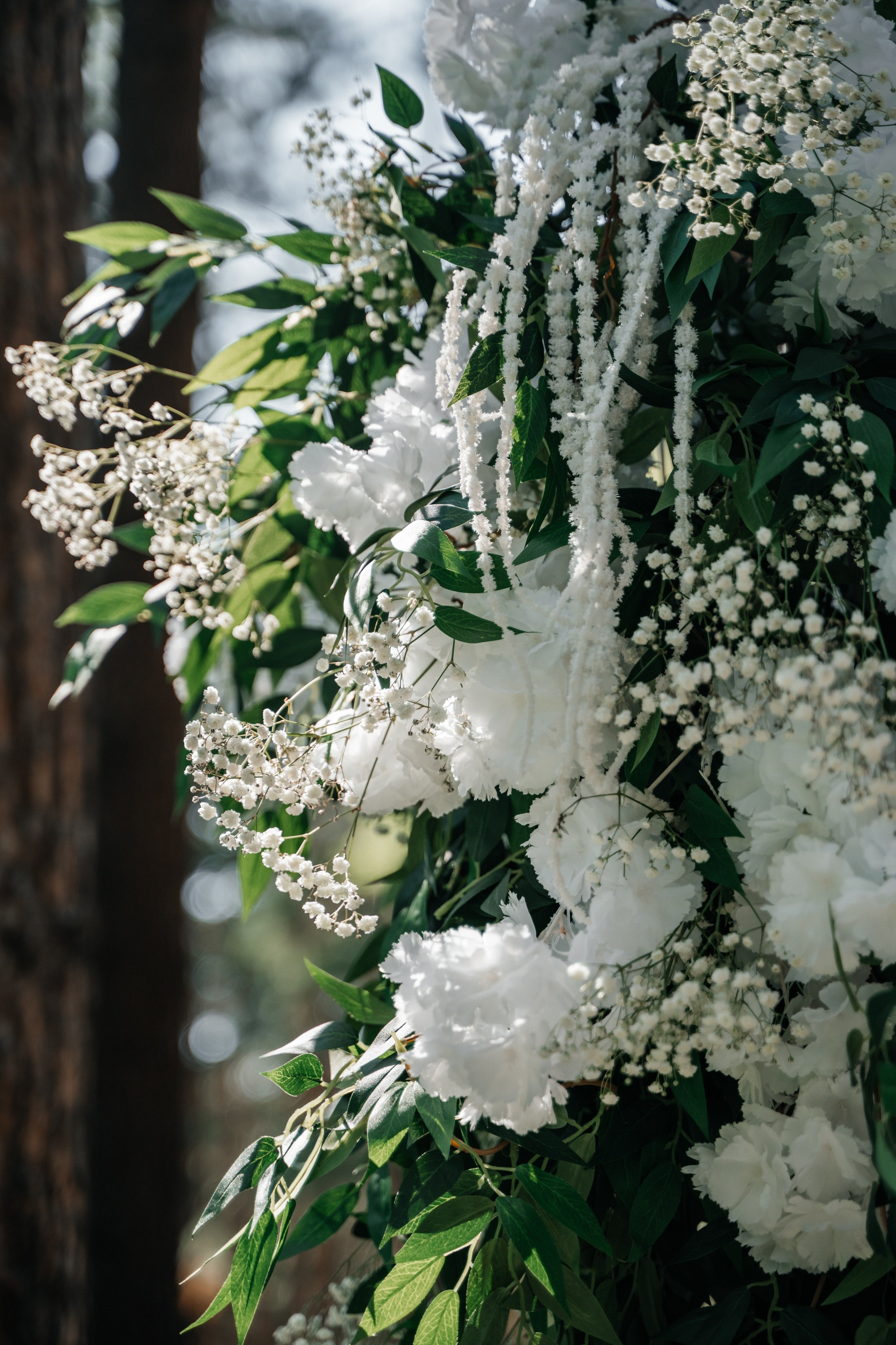 Юрий и Анастасия. Свадебная  съемка на Алтае