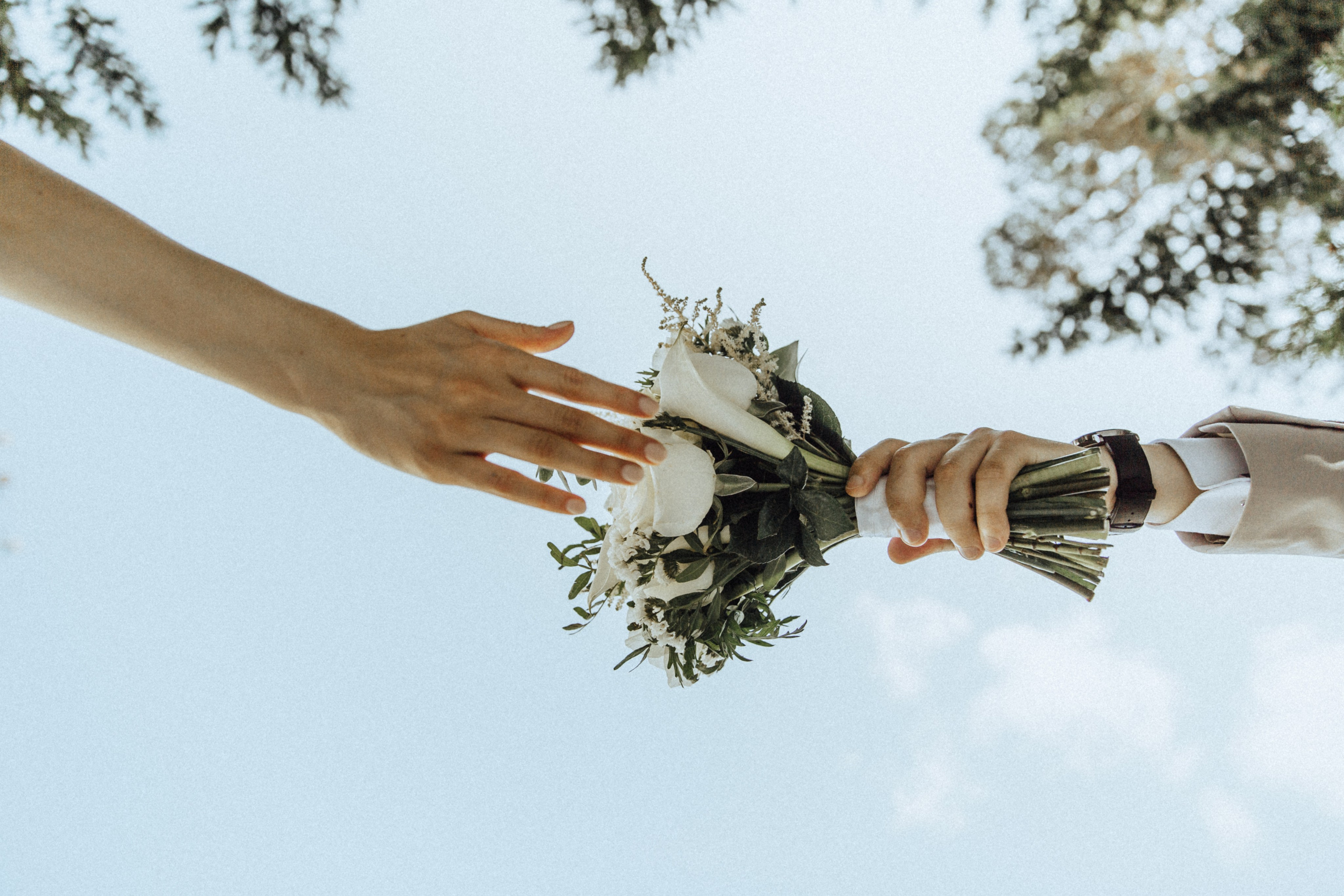 Фотограф в Новосибирске Надежда Черных