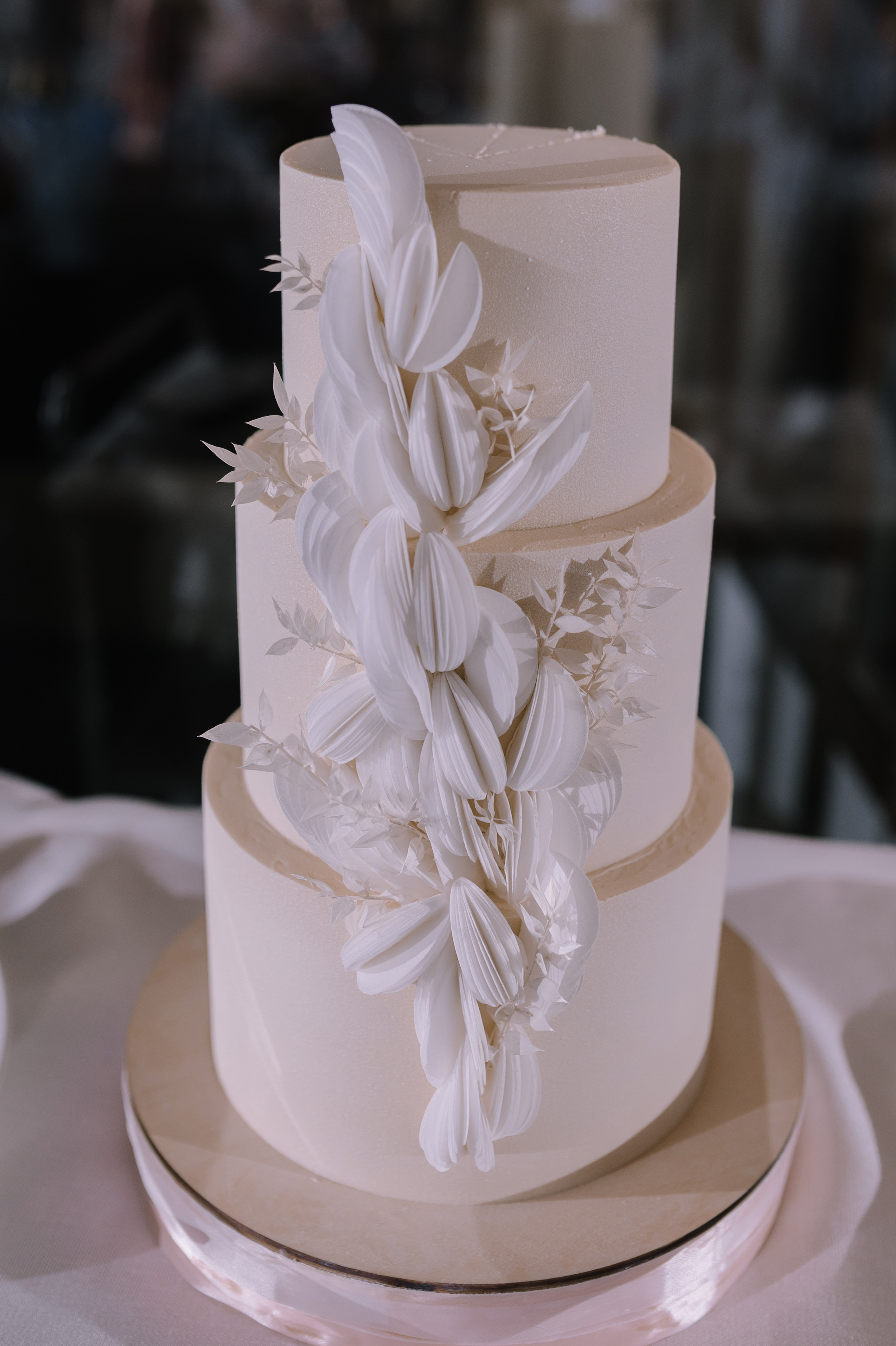 Дима и Полина. Свадебный фотограф Липецк, Елец