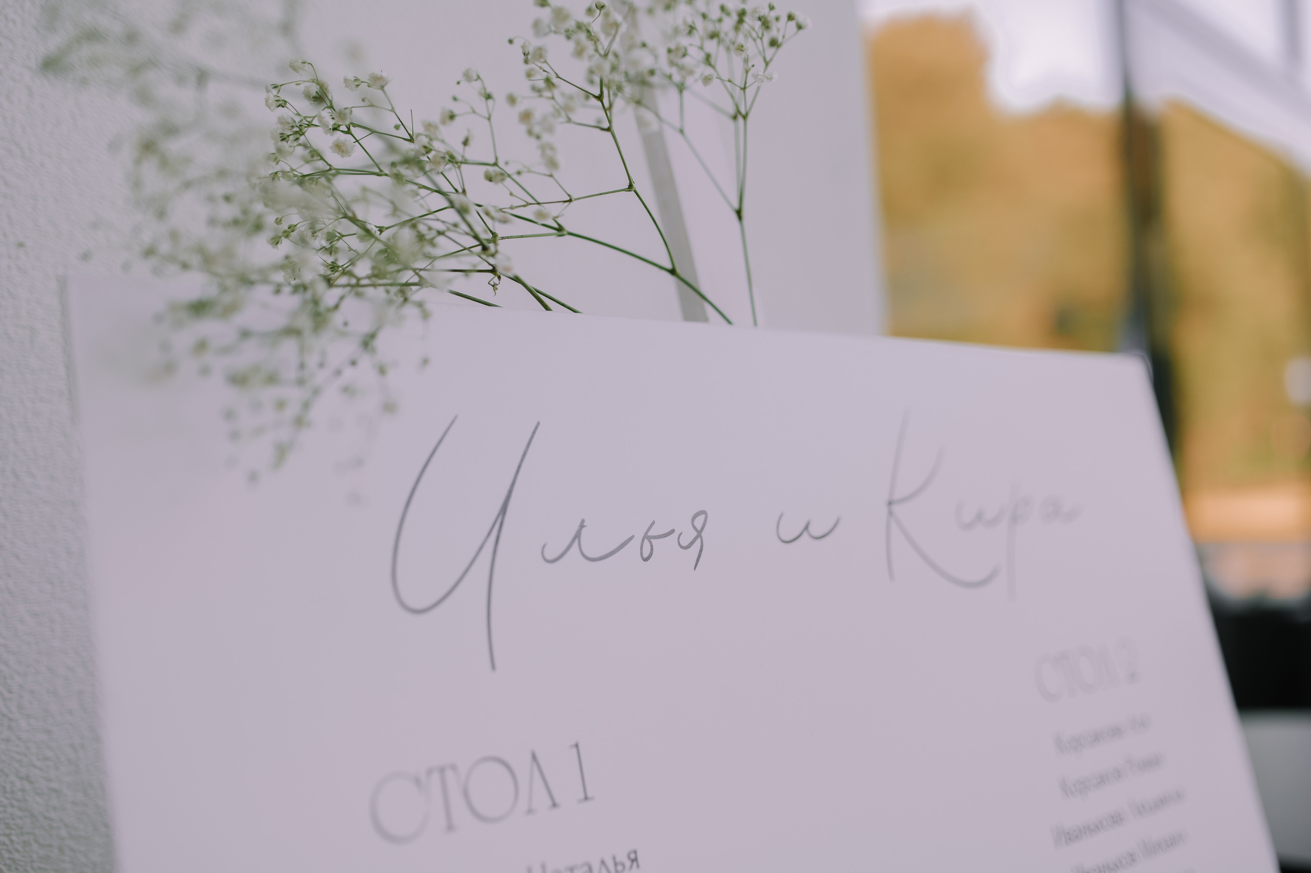 Илья и Кира. Свадебный фотограф Липецк, Елец