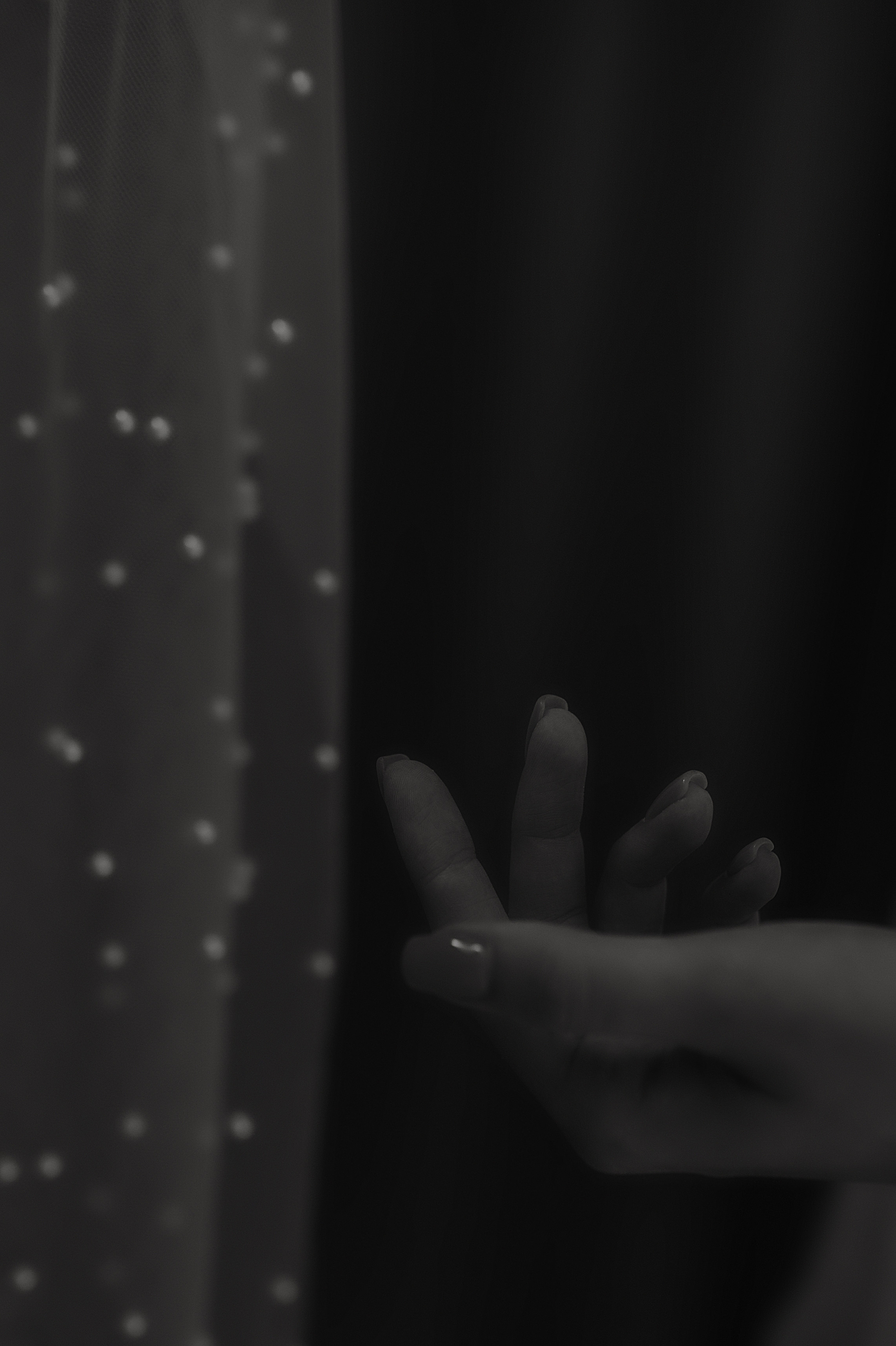 Дима и Полина. Свадебный фотограф Липецк, Елец