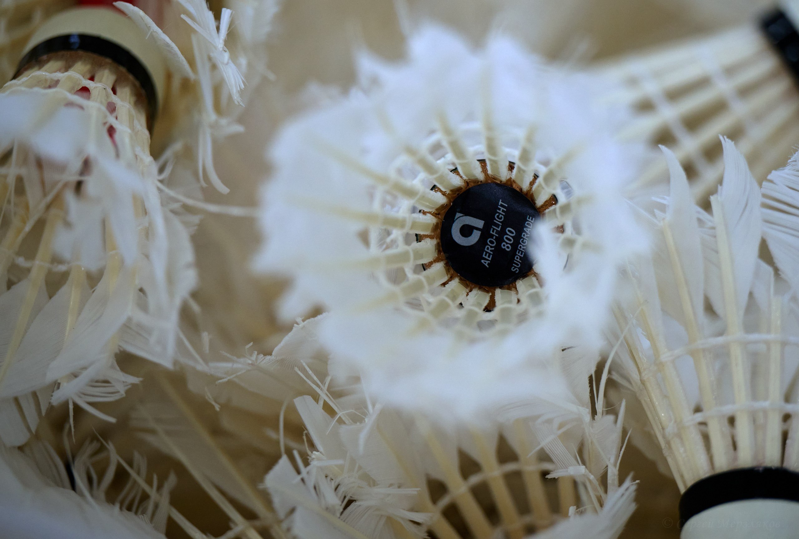 Бадминтон. Мастер-класс Любови Сухановой. Ижевск. 20.07.2024. Спортивный репортажный фотограф в Ижевске Сергей Мерзляков