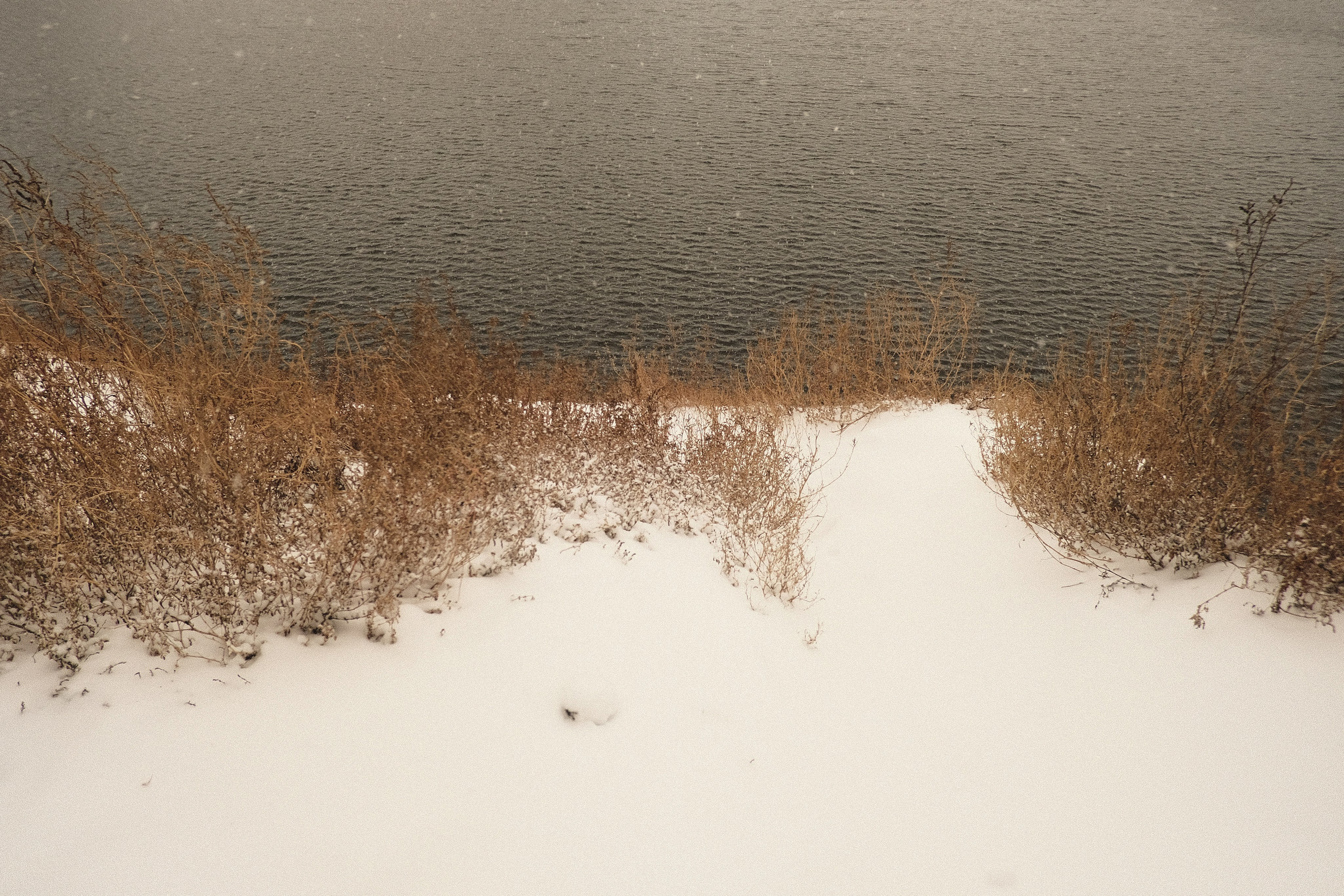 Наблюдения. Семейный фотограф в Новосибирске Артём Кузнецов