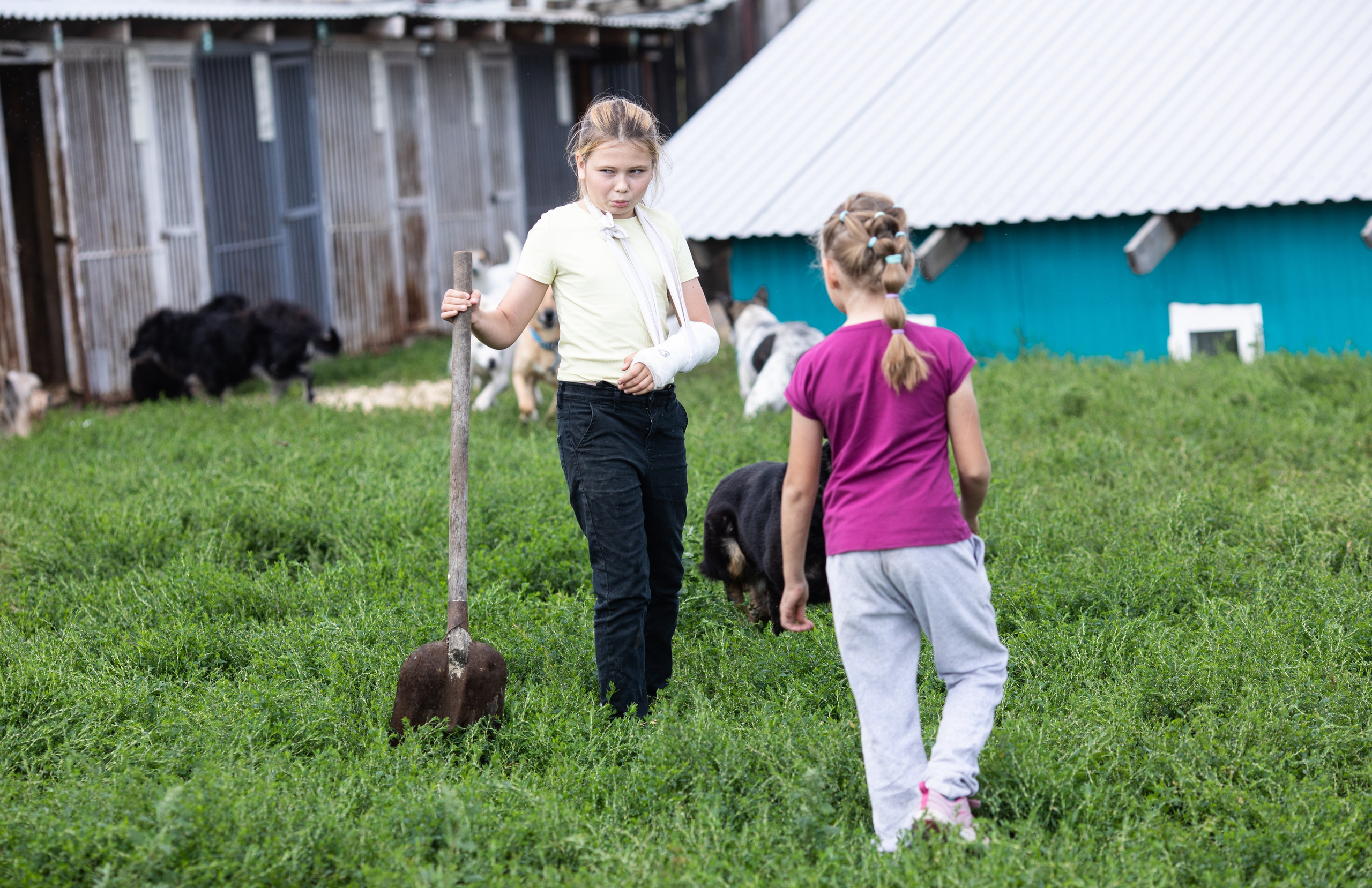 Приют — Наш дом. Репортажный и свадебный фотограф в Челябинске Елисеев Павел