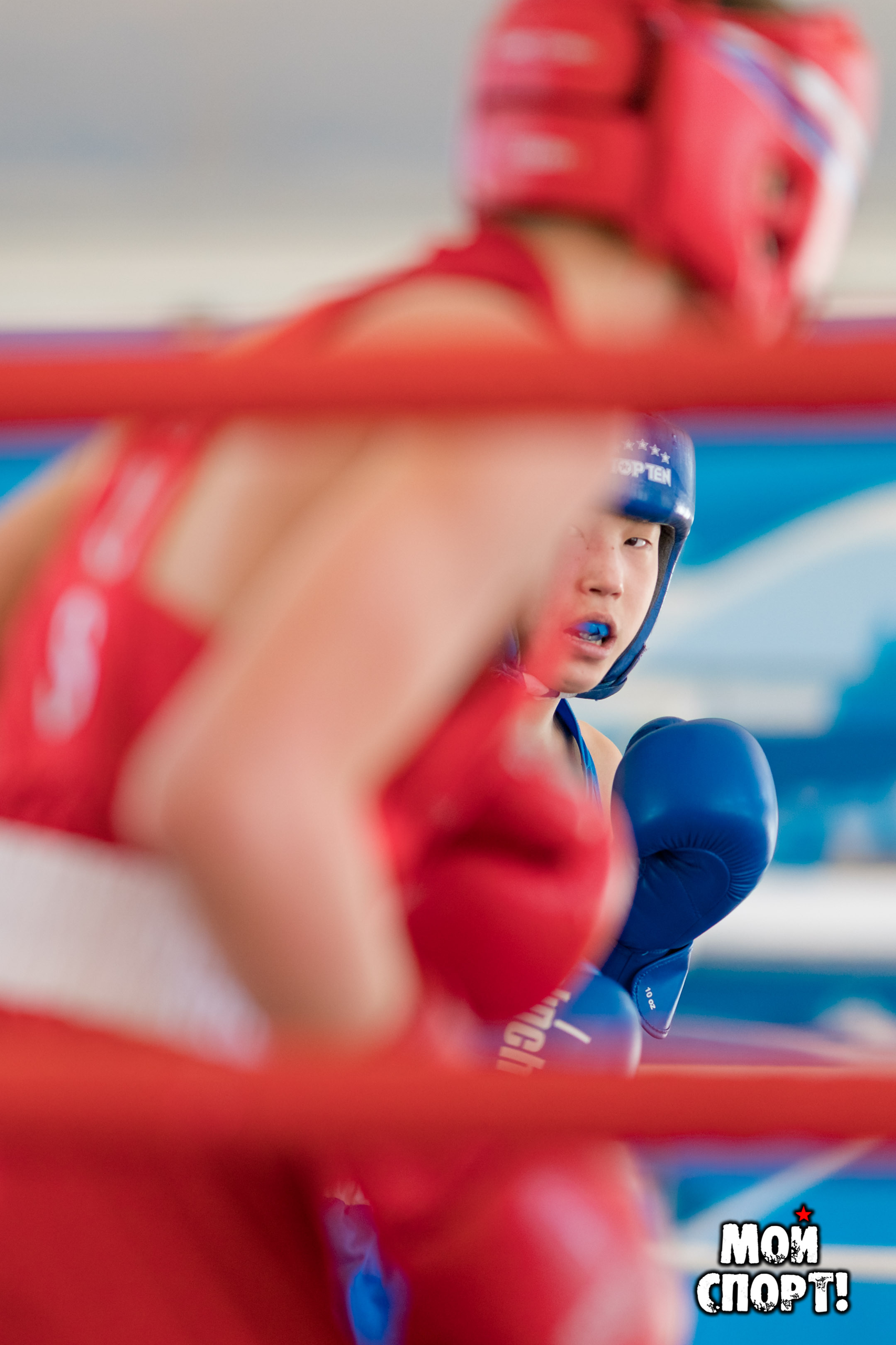 Открытое первенство г. Якутска по боксу памяти Николая Жиркова. Студия «Мой Спорт!» — все о спорте в Якутии