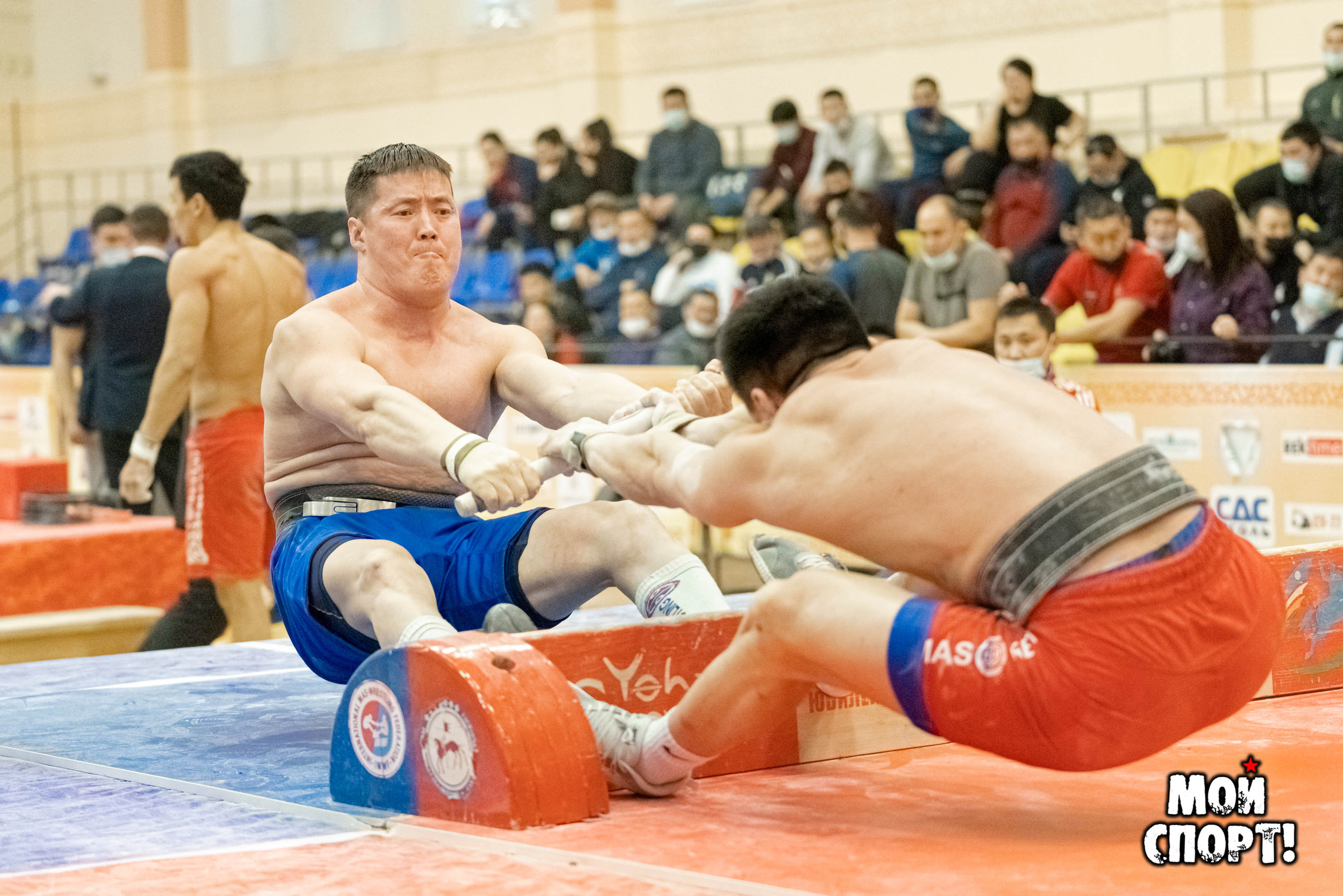 Чемпионат РС (Я) по мас-рестлингу памяти Г. Р. Десяткина. 25–28 февраля 2021 г. Студия «Мой Спорт!» — все о спорте в Якутии
