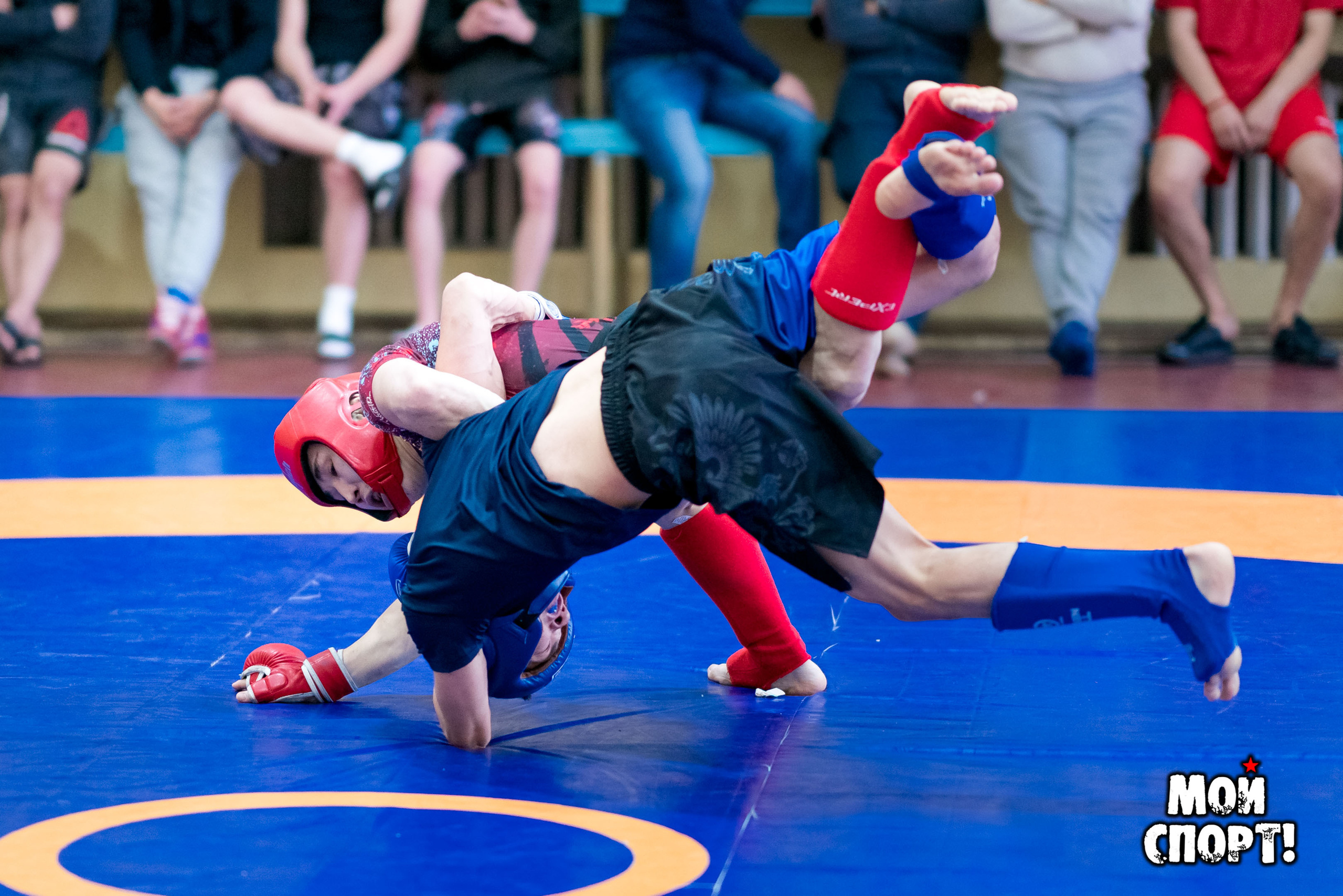 Республиканский турнир по панкратиону «Битва Боотуров XI». Студия «Мой Спорт!» — все о спорте в Якутии