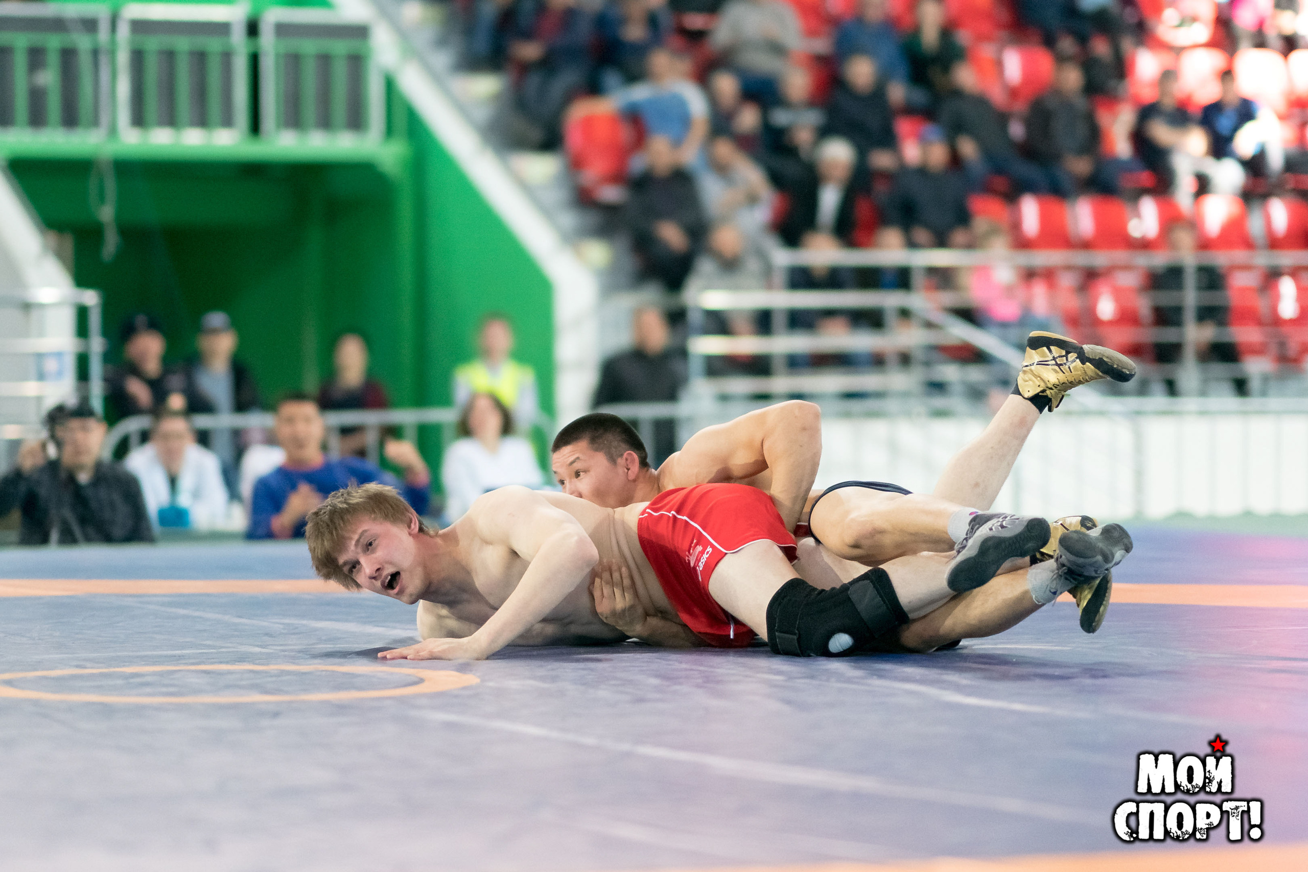 Главная. Студия «Мой Спорт!» — все о спорте в Якутии