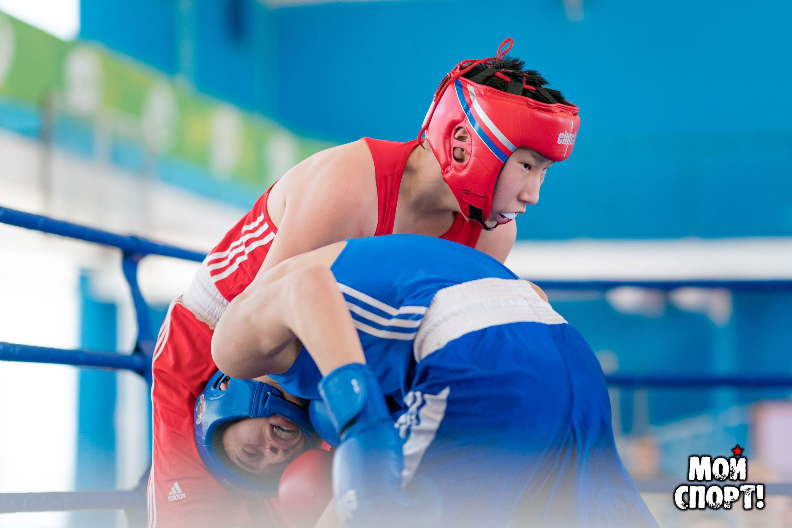 Открытое первенство г. Якутска по боксу памяти Николая Жиркова. Студия «Мой Спорт!» — все о спорте в Якутии