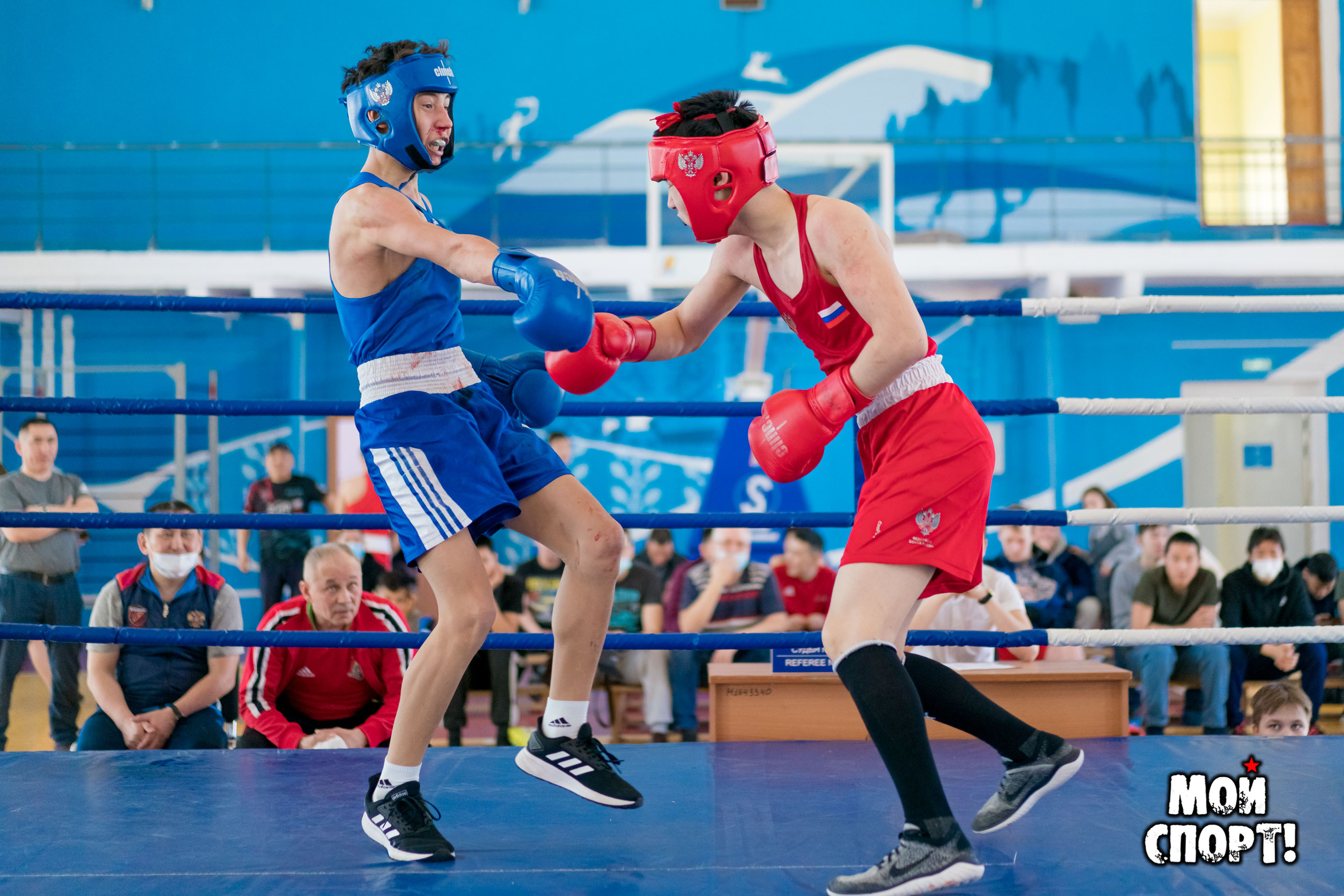 Открытое первенство г. Якутска по боксу памяти Николая Жиркова. Студия «Мой Спорт!» — все о спорте в Якутии