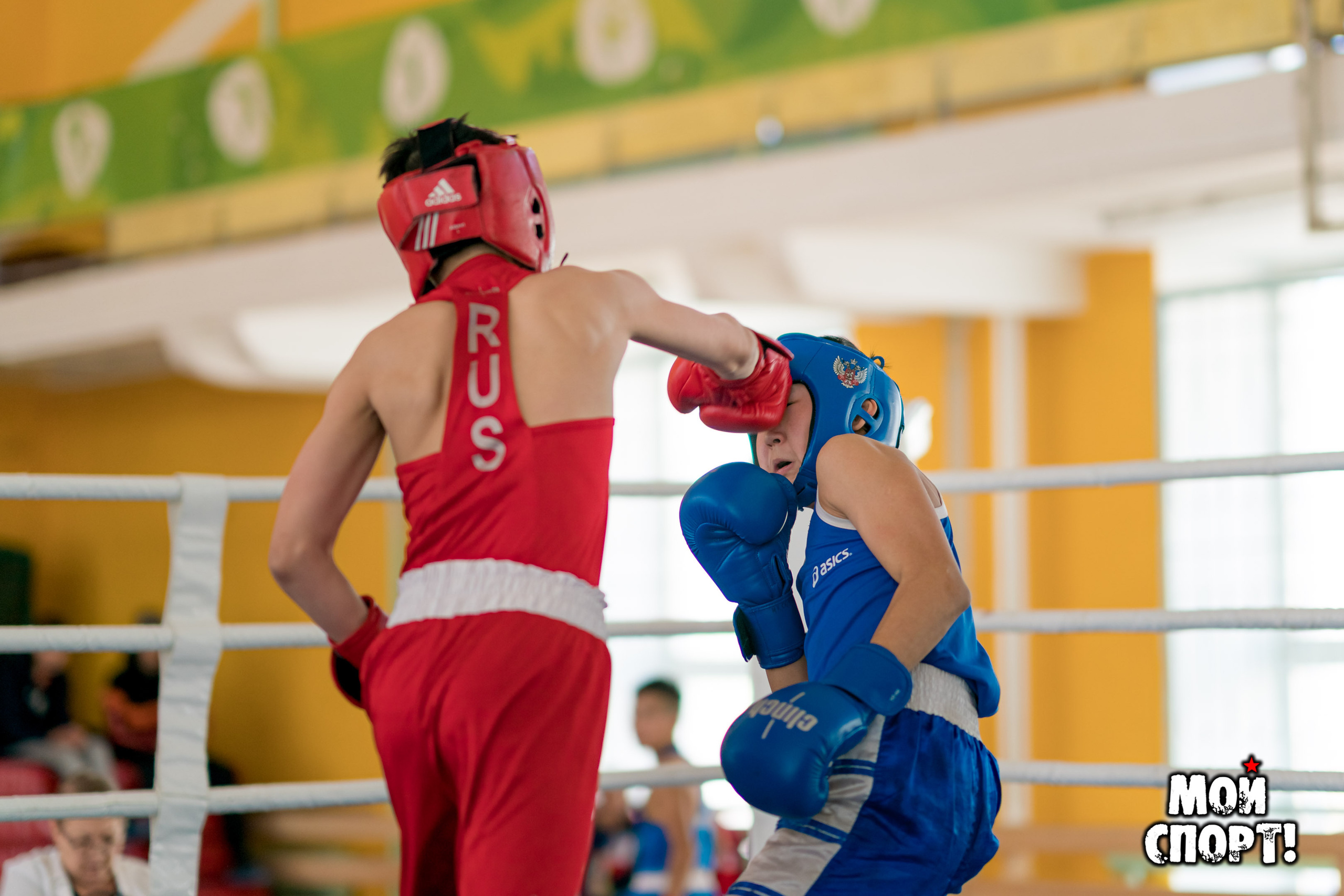 Открытое первенство г. Якутска по боксу памяти Николая Жиркова. Студия «Мой Спорт!» — все о спорте в Якутии