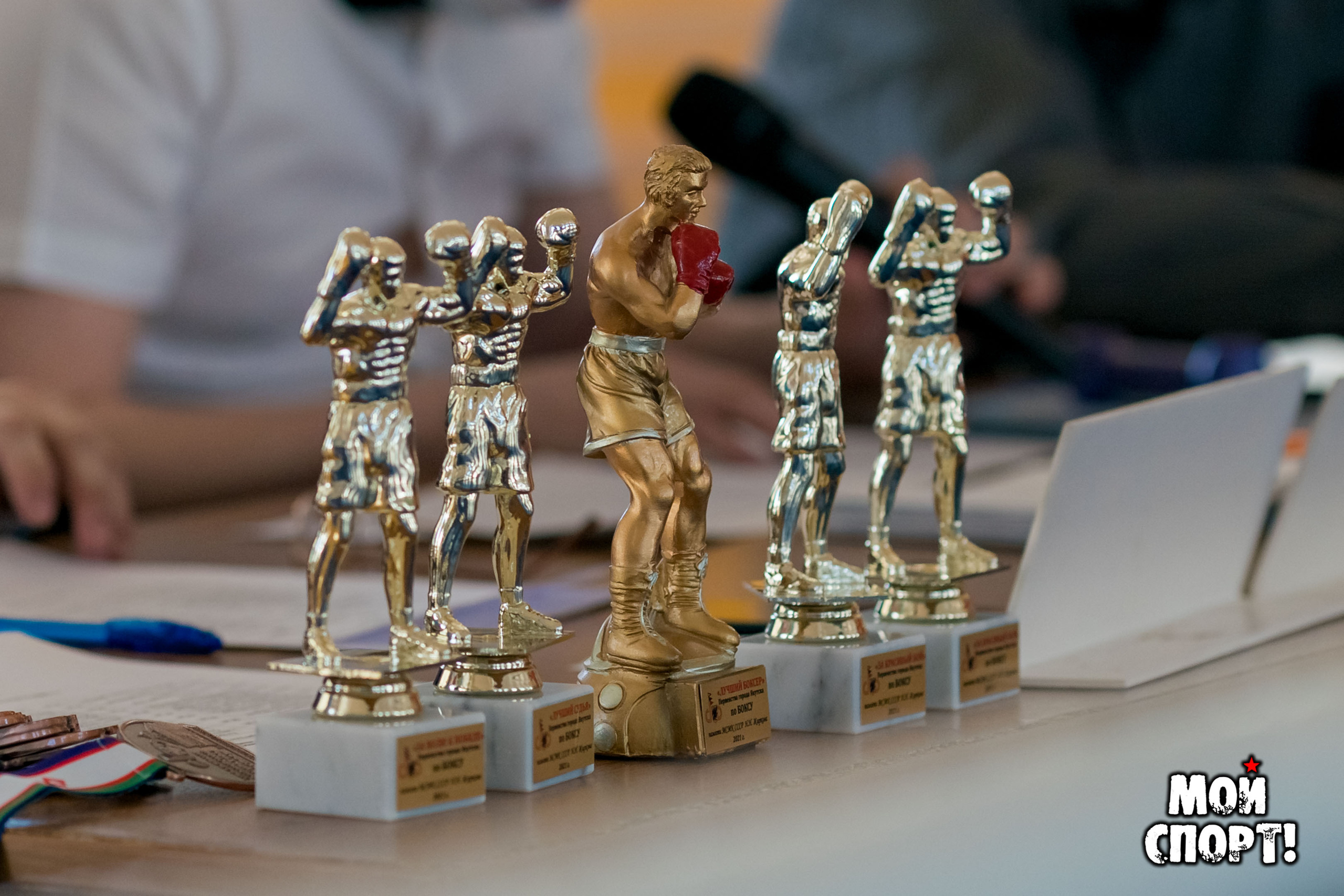 Открытое первенство г. Якутска по боксу памяти Николая Жиркова. Студия «Мой Спорт!» — все о спорте в Якутии