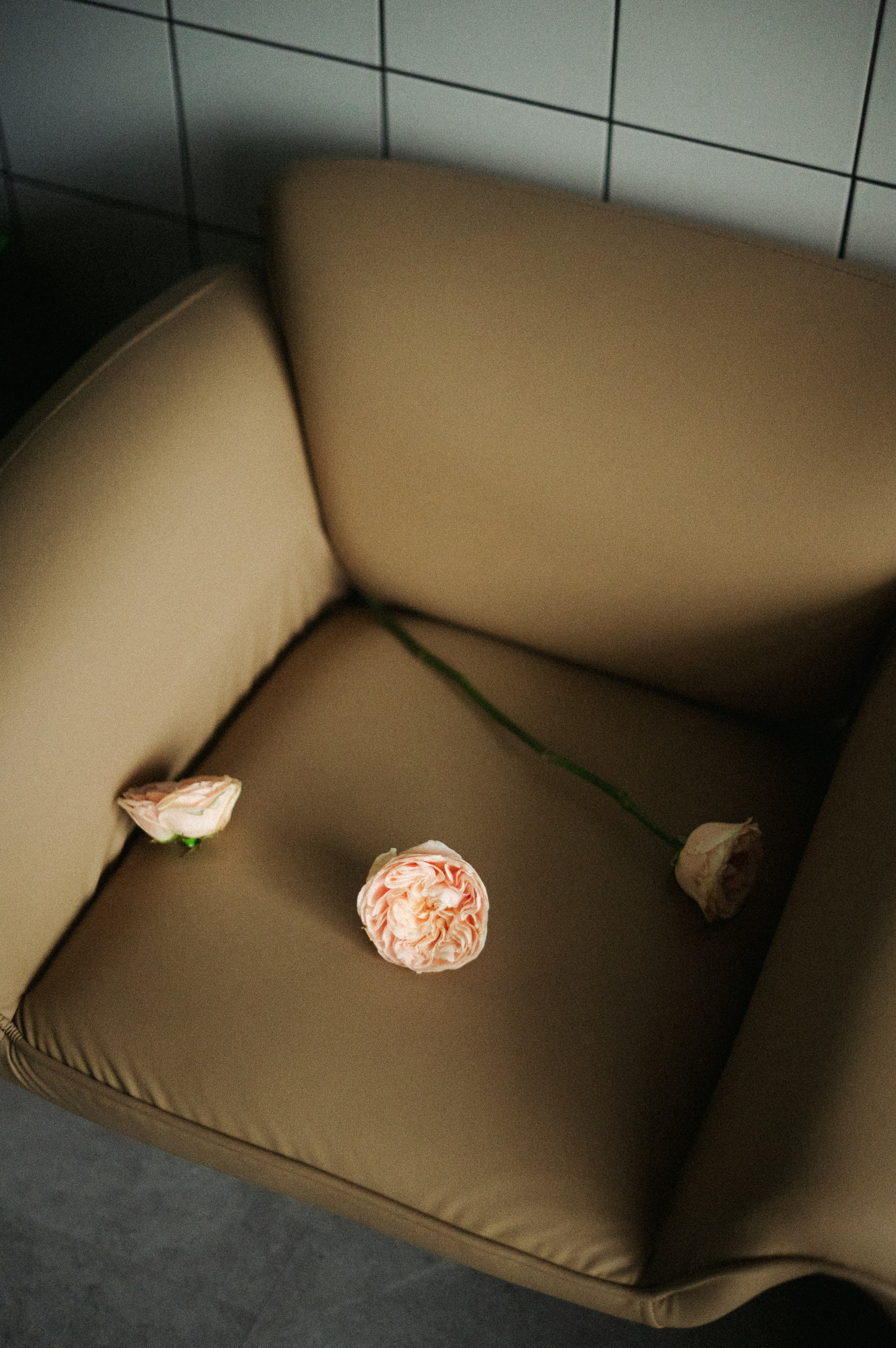 Лена. Свадебный фотограф в Ростове-на-Дону Инна Абдул