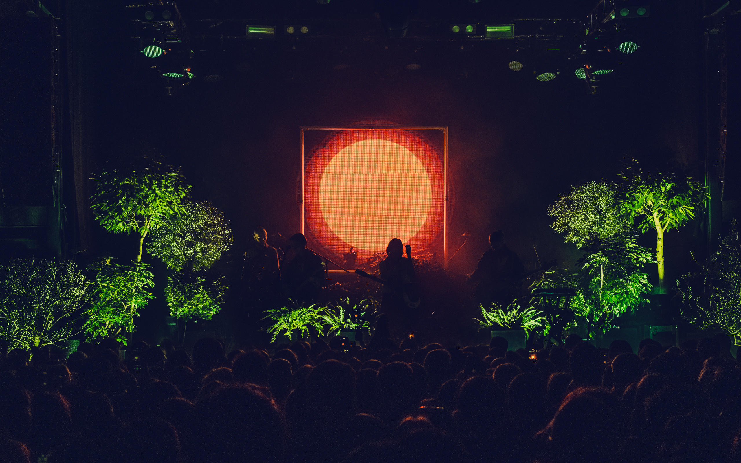 Sirotkin / Москва / 06.01.2022. OOPS