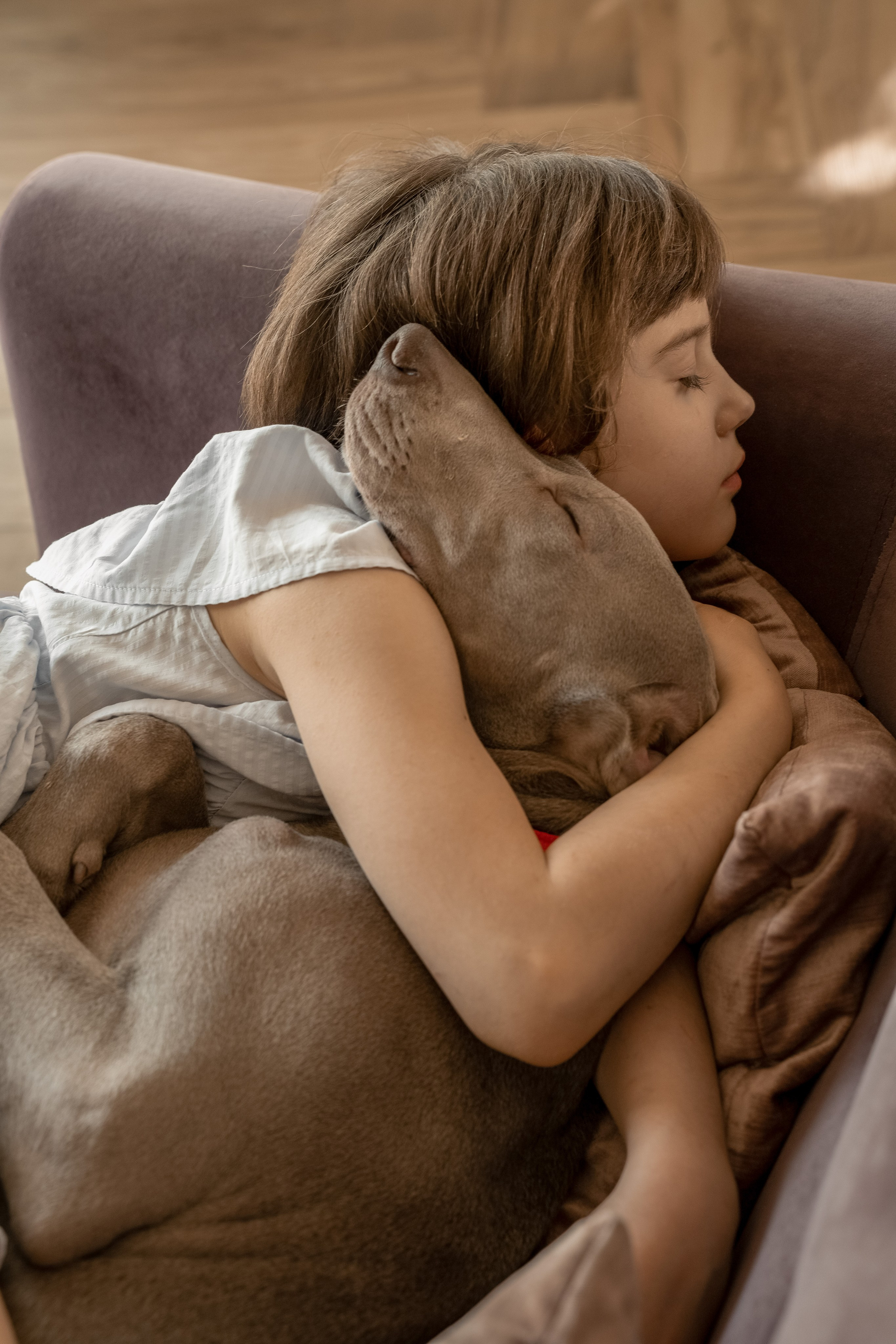 Девочка с любовью обнимает свою собаку.