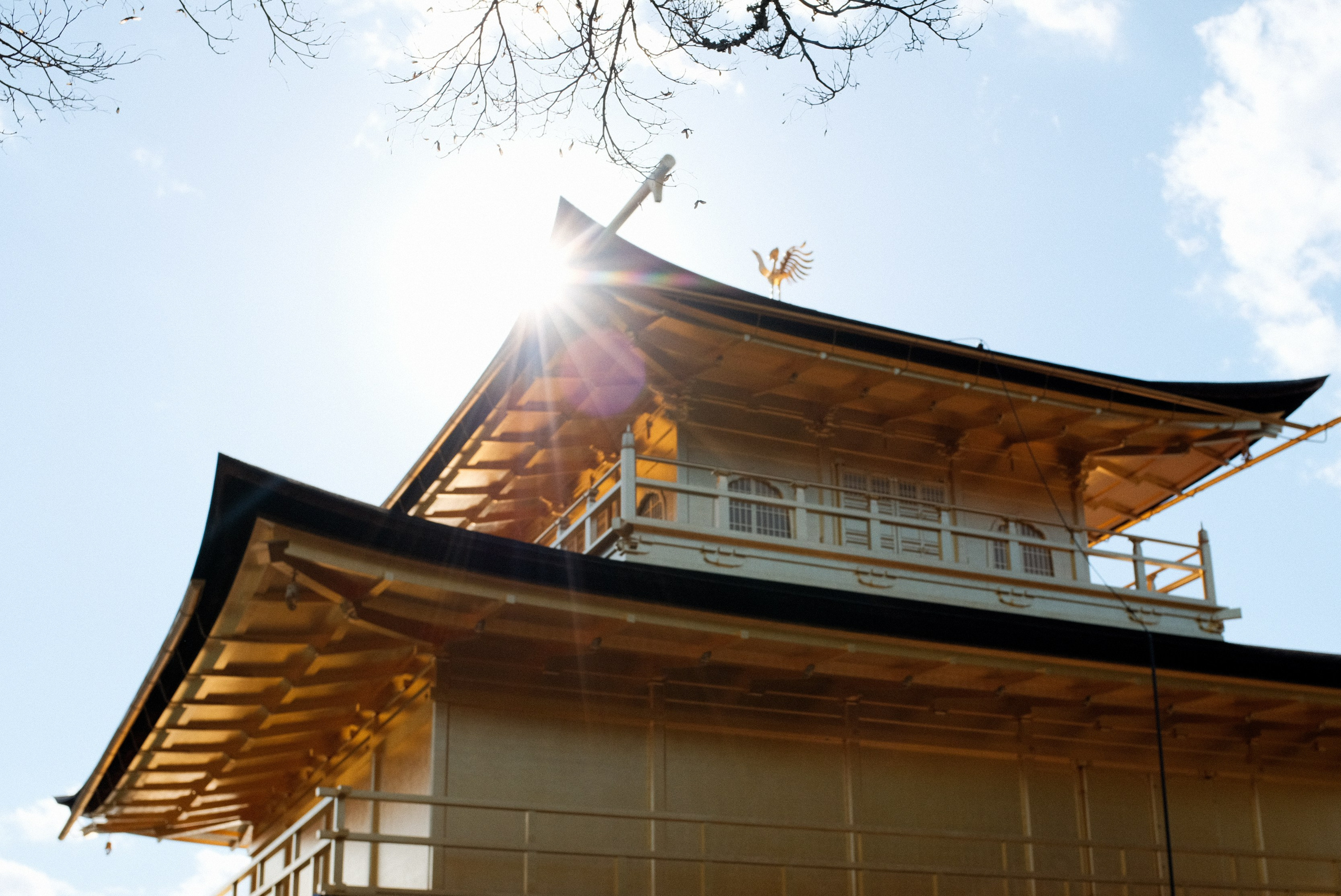 Architecture. Regina Platonova